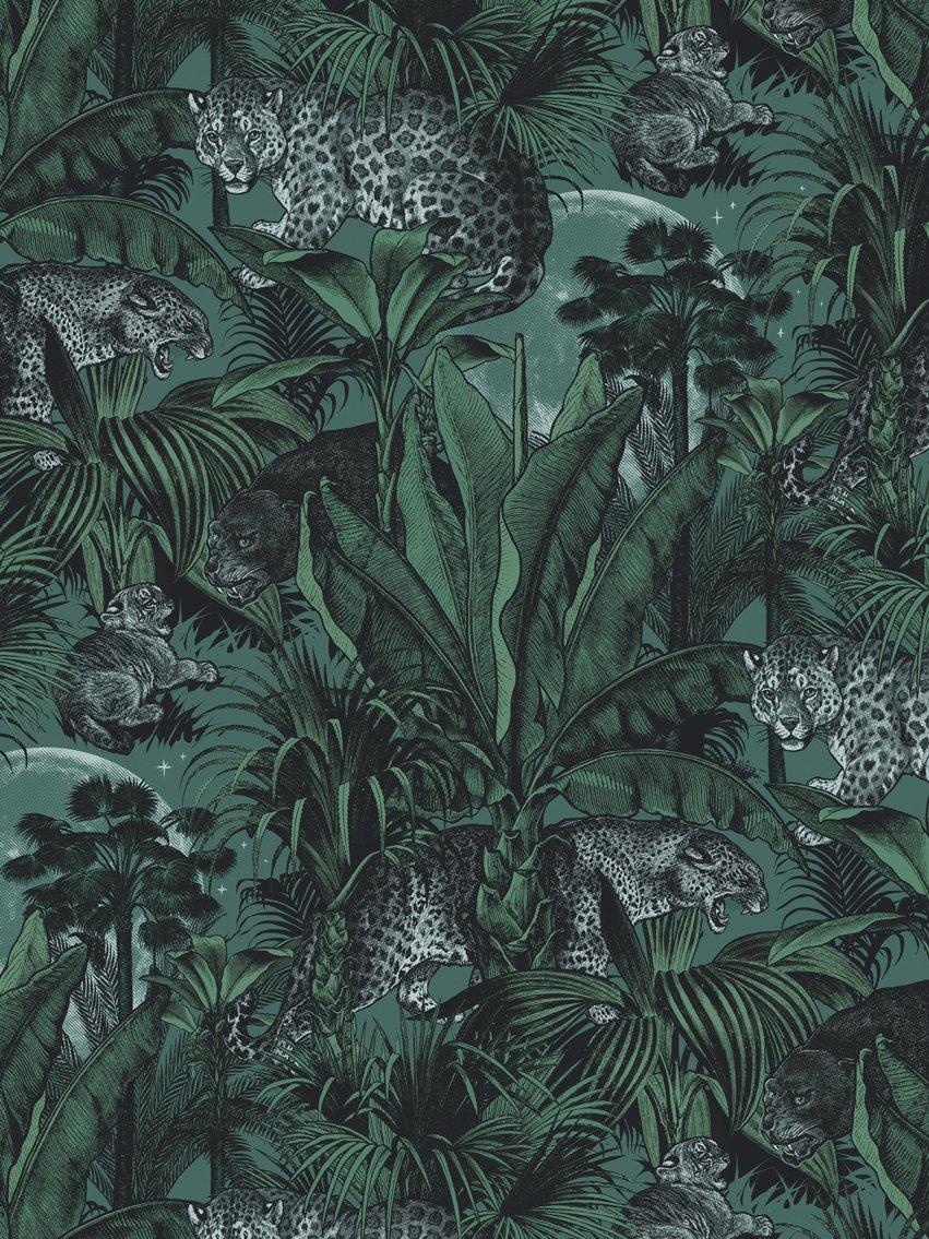 Jungle Print Wallpapers Top Free Jungle Print Backgrounds