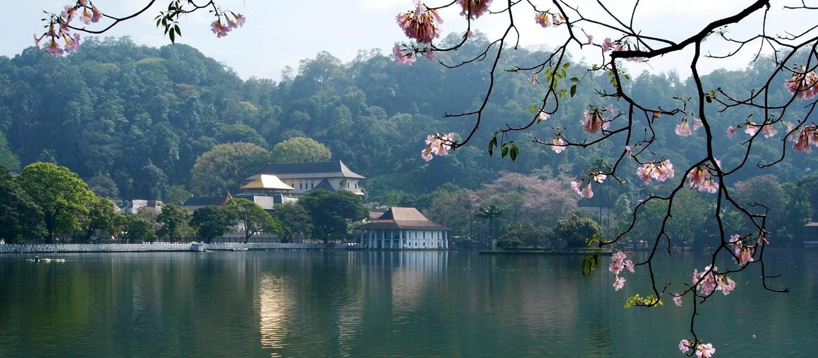 Kandy Sri Lanka Wallpapers Top Free Kandy Sri Lanka Backgrounds