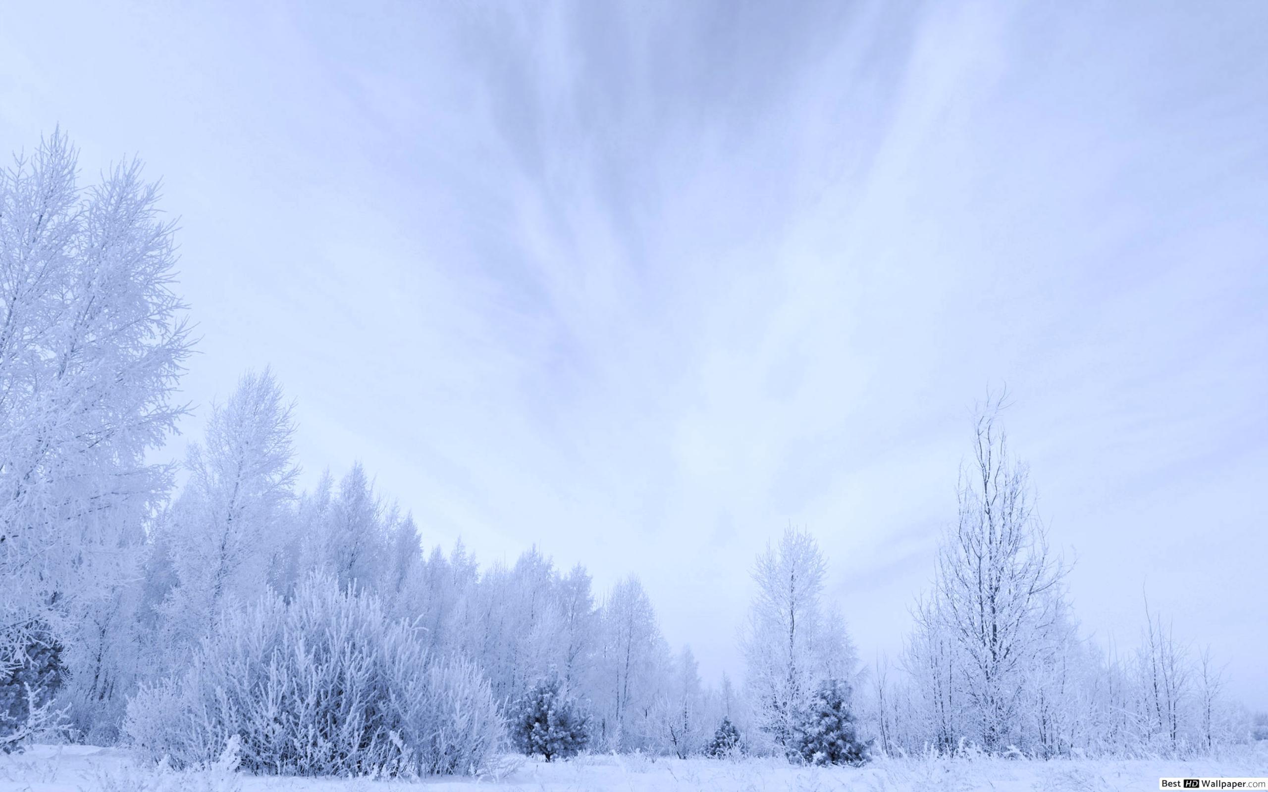 White Winter Wallpapers Top Free White Winter Backgrounds