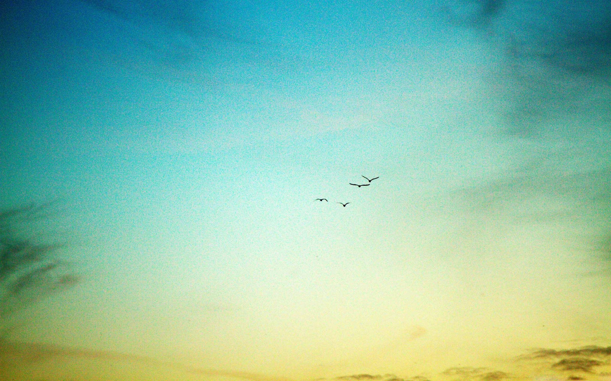 Details 100 full hd family photo studio background hd Abzlocal.mx