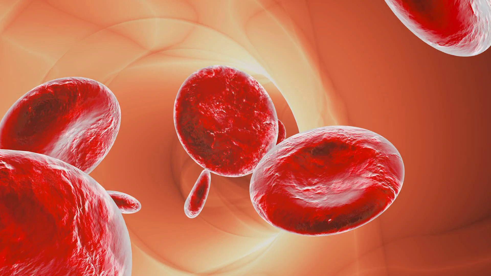 Red Blood Cells Wallpapers Top Free Red Blood Cells Backgrounds