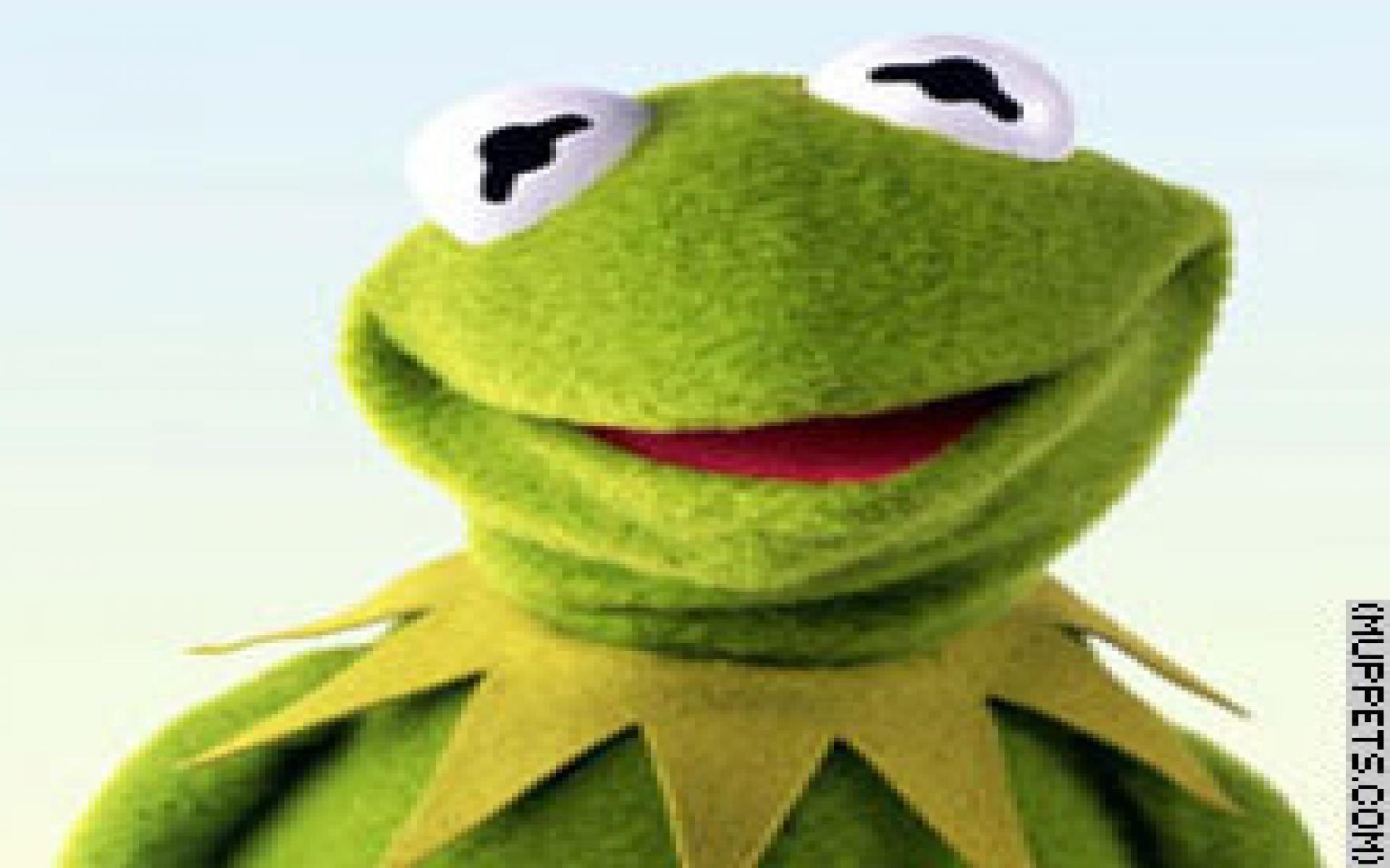 Download Kermit Heart Meme Wallpaper PNG & GIF BASE