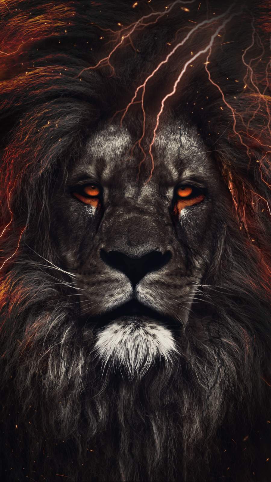 Lion Blue Eyes Wallpapers Top Free Lion Blue Eyes Backgrounds