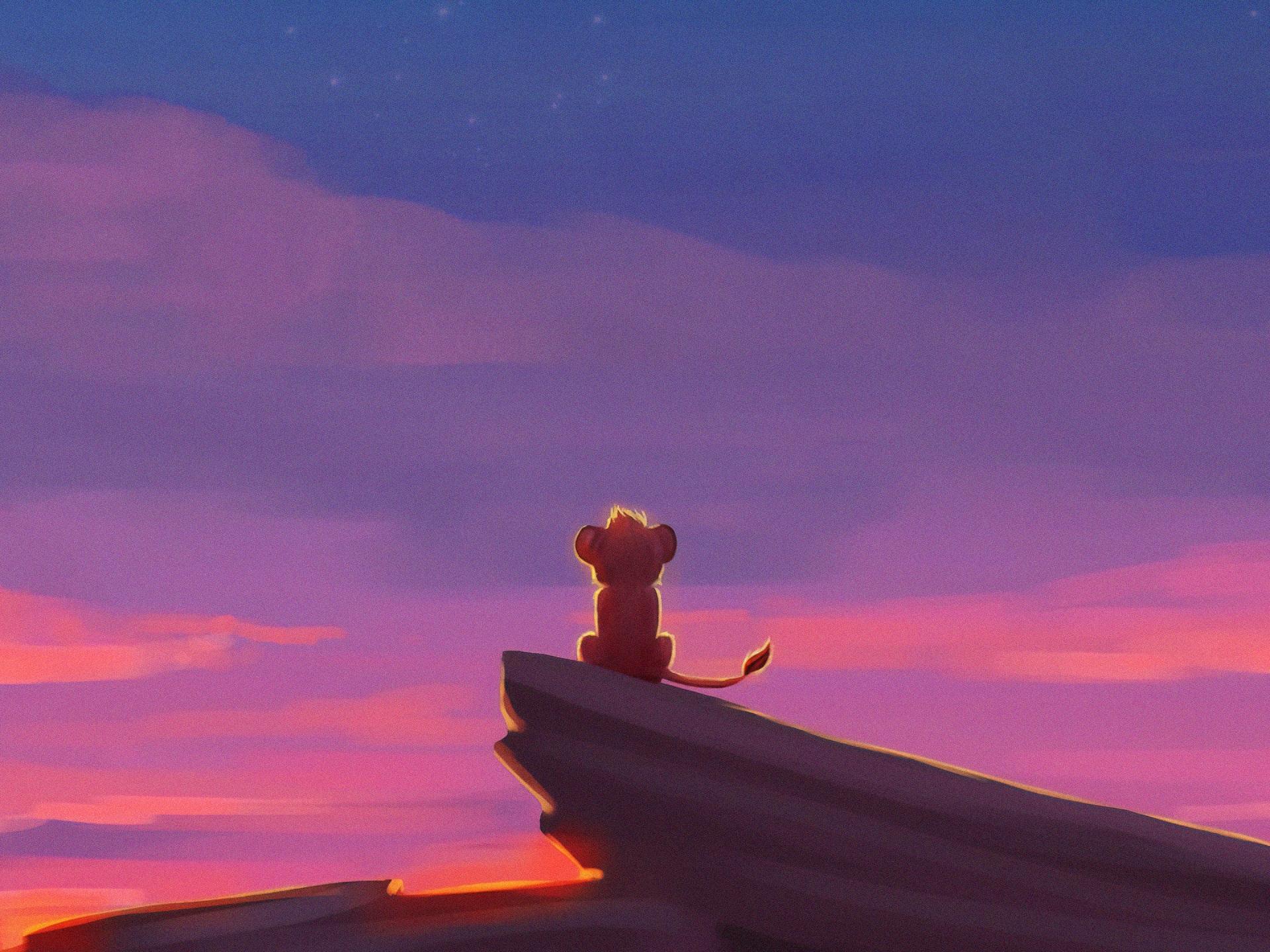 Baby Lion King Wallpapers Top Free Baby Lion King Backgrounds