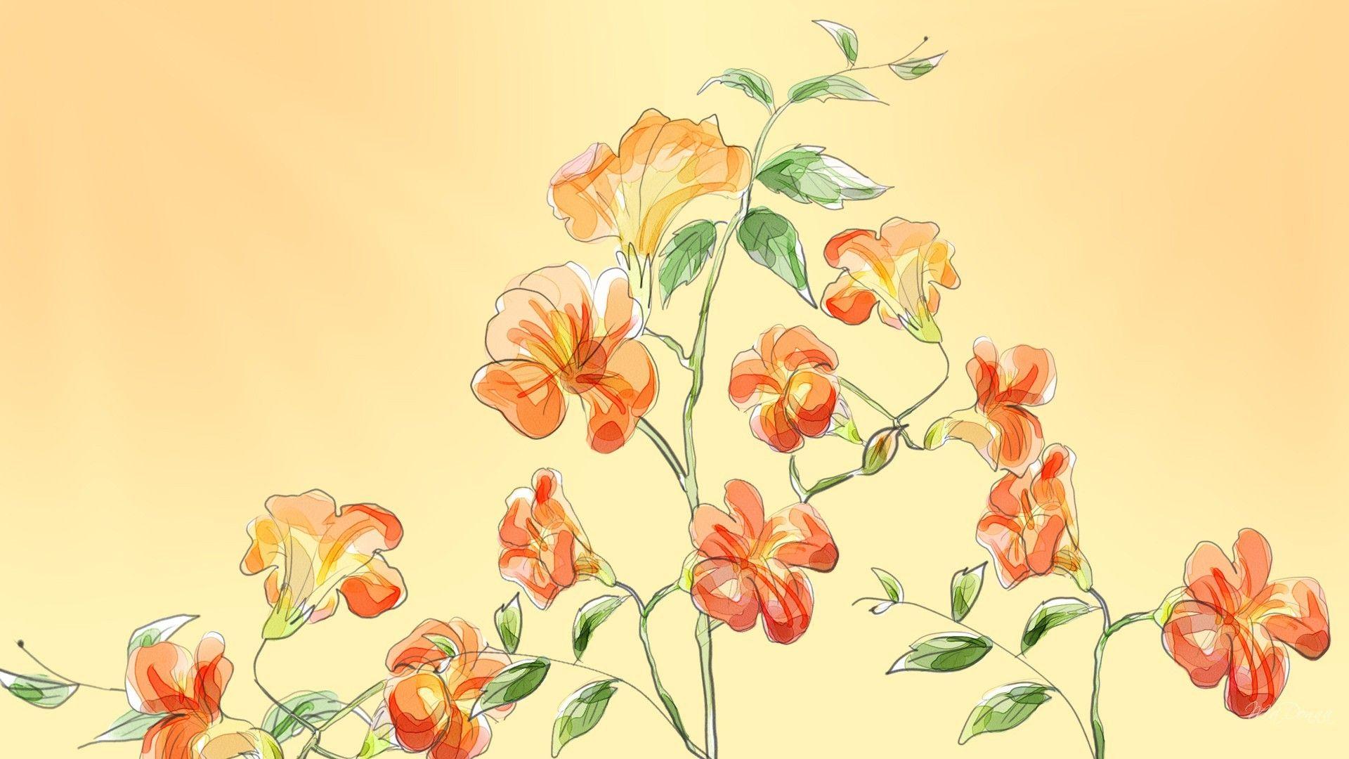 Chinese Flower Wallpapers Top Free Chinese Flower Backgrounds