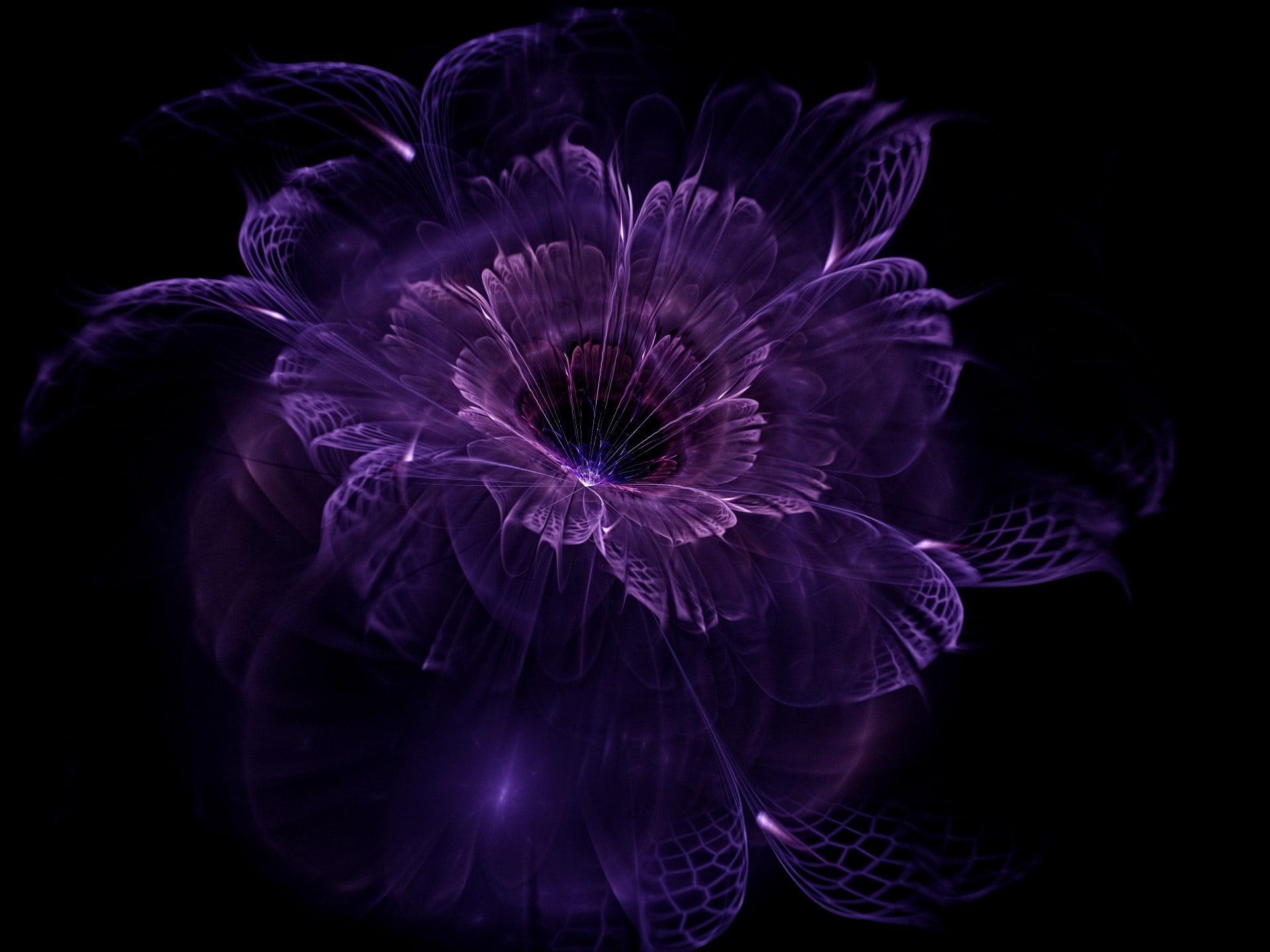Dark Purple Flowers HD Wallpapers Top Free Dark Purple Flowers HD