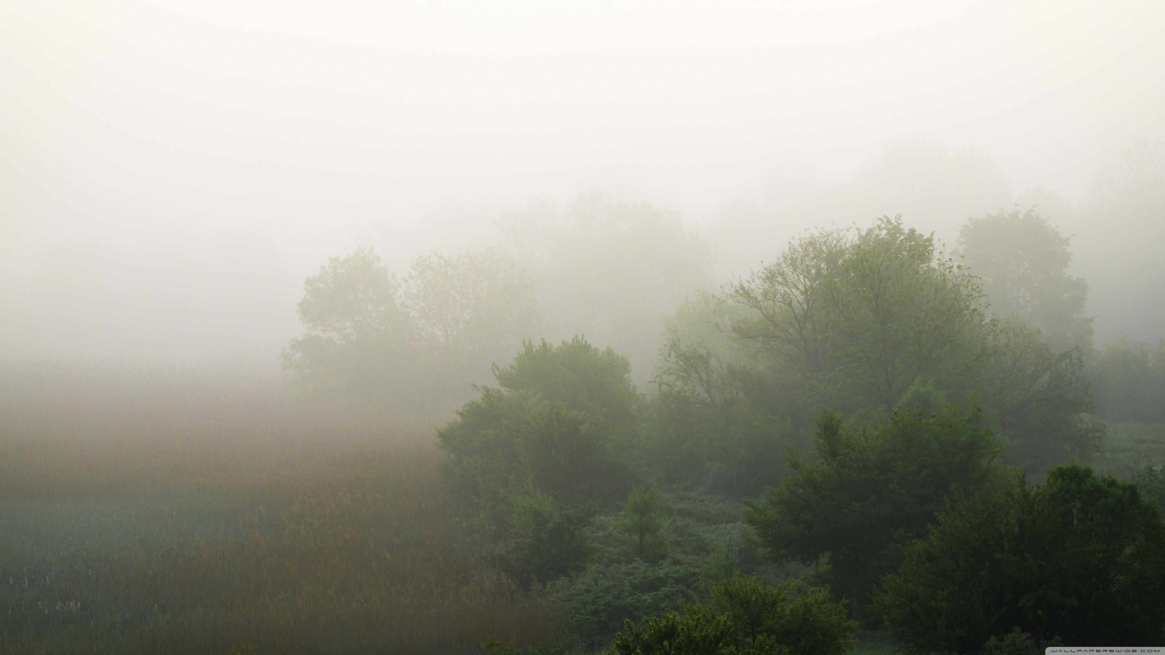 Foggy Landscape Wallpapers - Top Free Foggy Landscape Backgrounds - WallpaperAccess