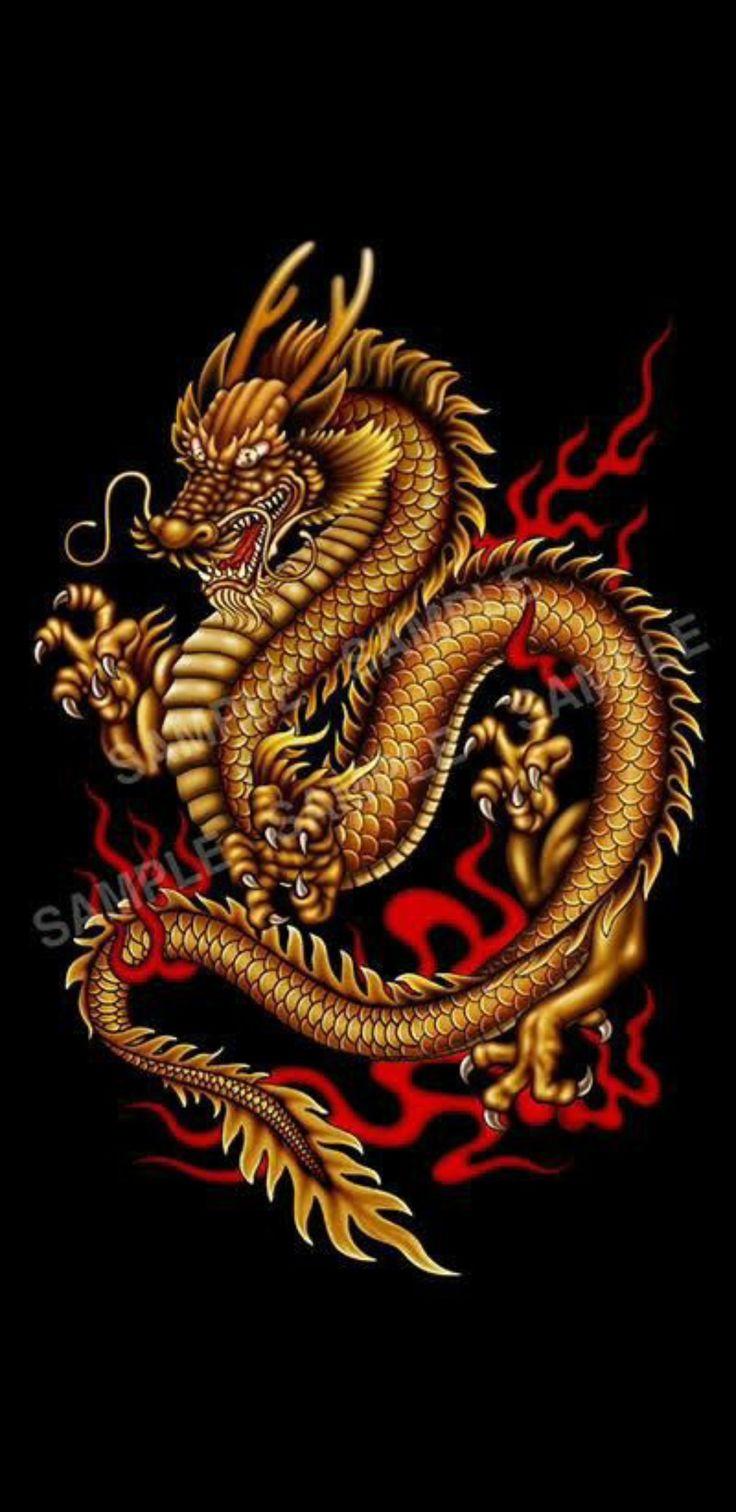 Golden Chinese Dragon Wallpapers Top Free Golden Chinese Dragon Backgrounds WallpaperAccess