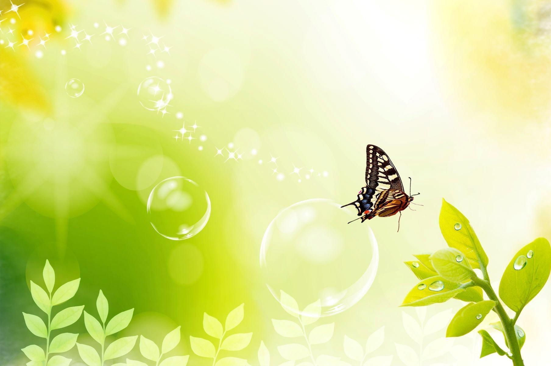 Yellow Butterfly Desktop Wallpapers Top Free Yellow Butterfly Desktop