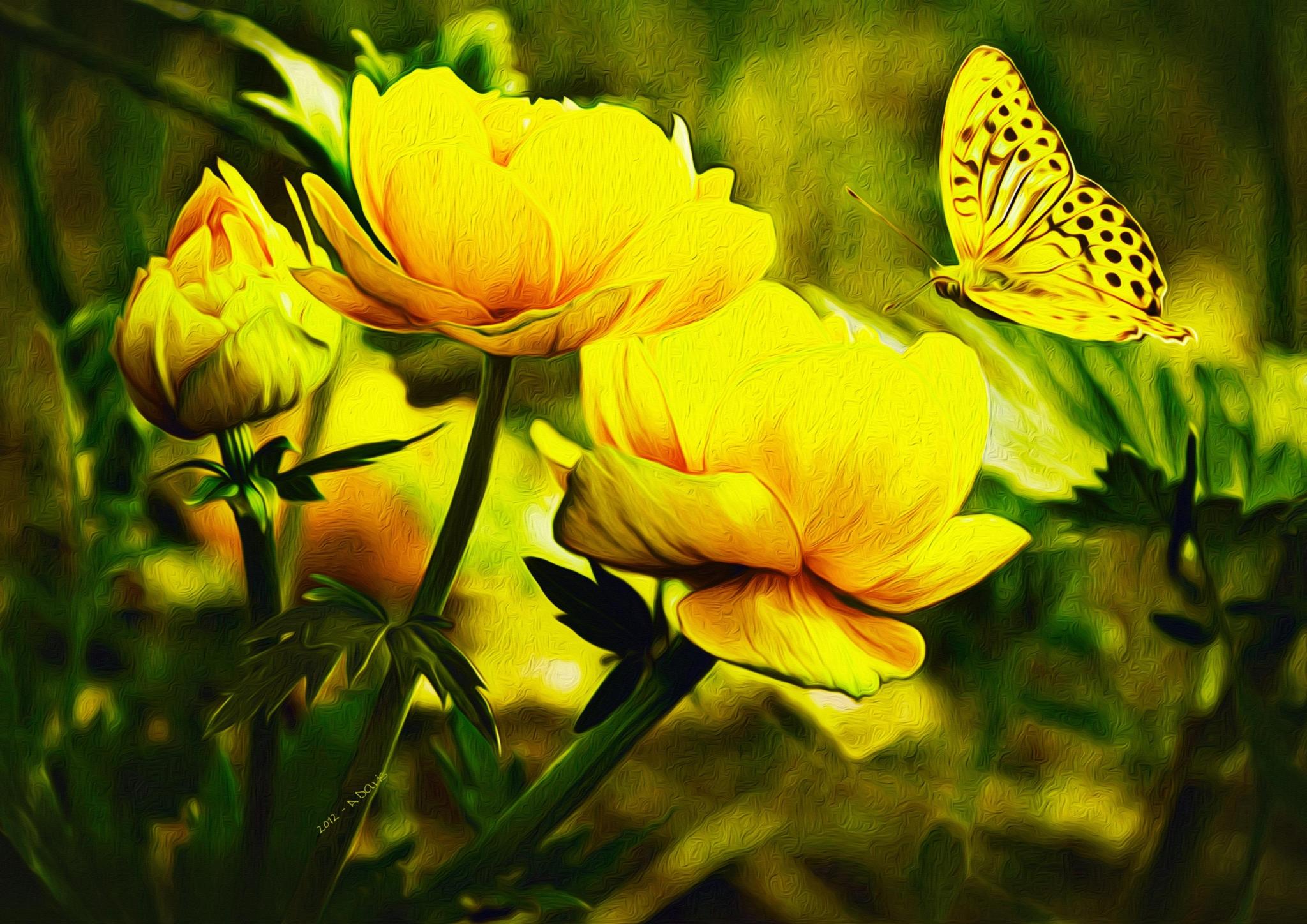 Yellow Butterfly Desktop Wallpapers Top Free Yellow Butterfly Desktop Backgrounds