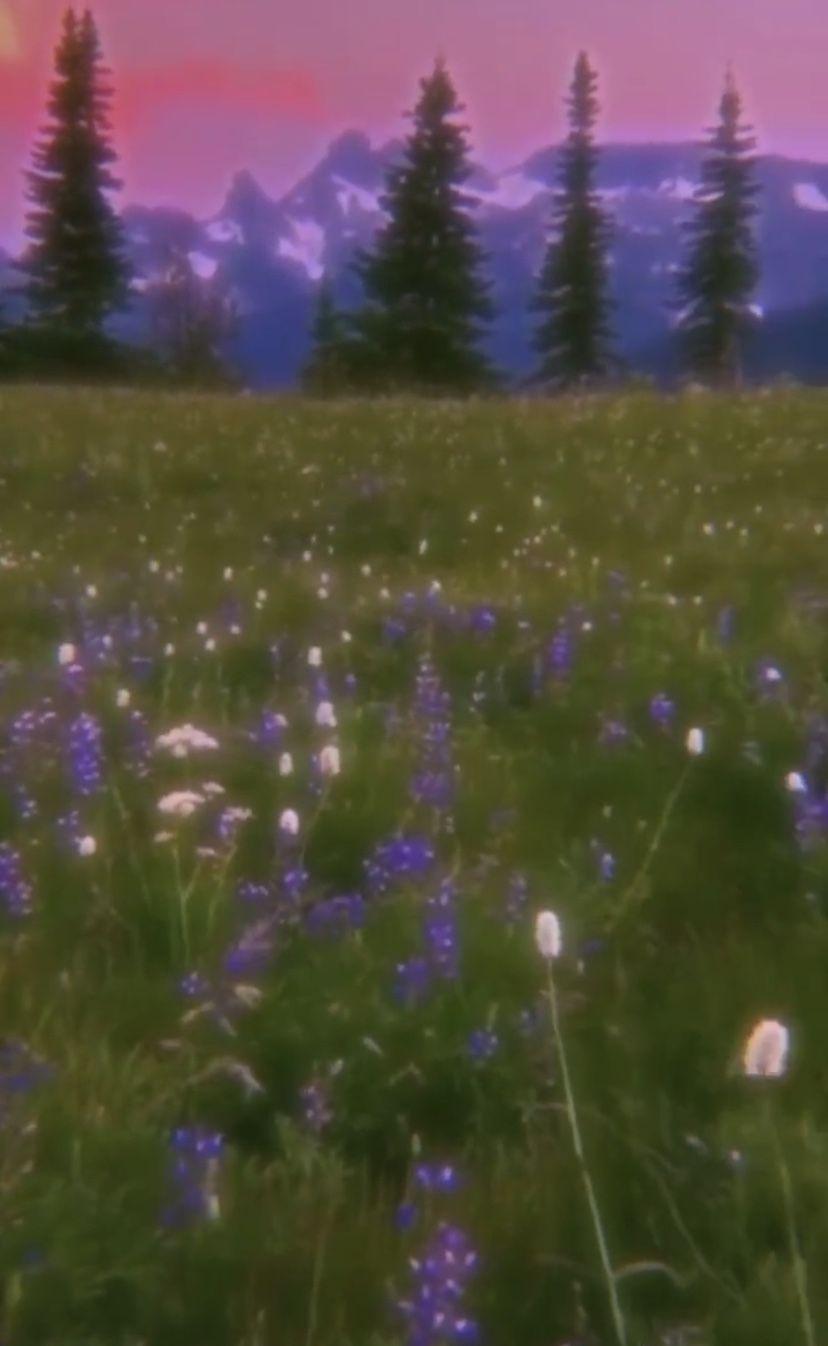 Ethereal Aesthetic Wallpapers Top Free Ethereal Aesthetic Backgrounds