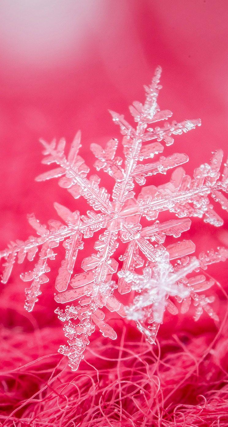 Pink Snowflake Wallpapers Top Free Pink Snowflake Backgrounds