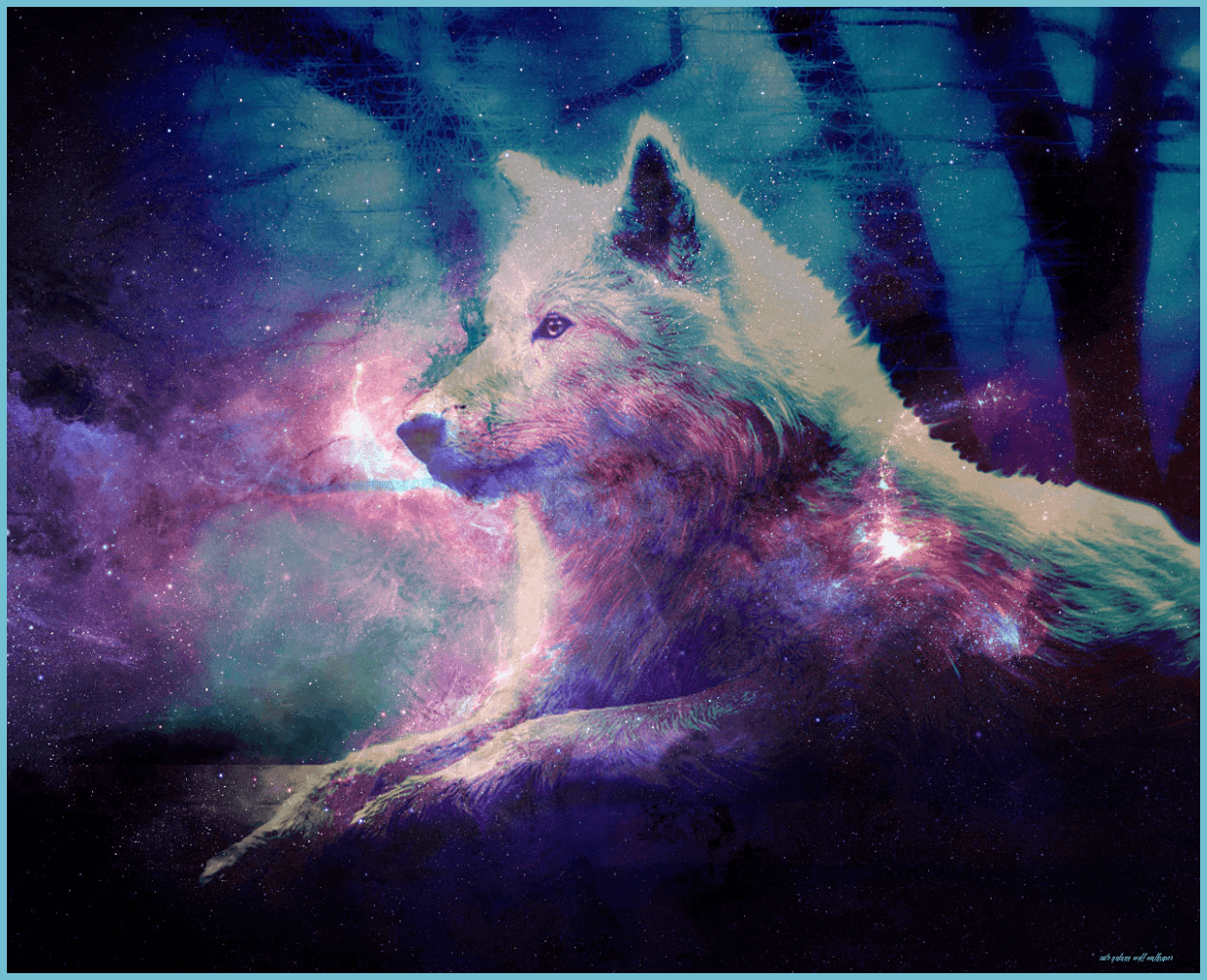 Wolf and Fox Wallpapers Top Free Wolf and Fox Backgrounds