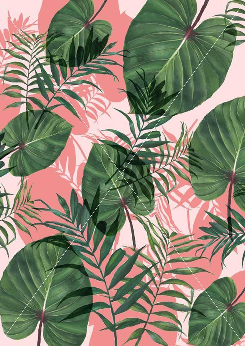 Pink and Green Leaf Wallpapers Top Free Pink and Green Leaf Backgrounds WallpaperAccess