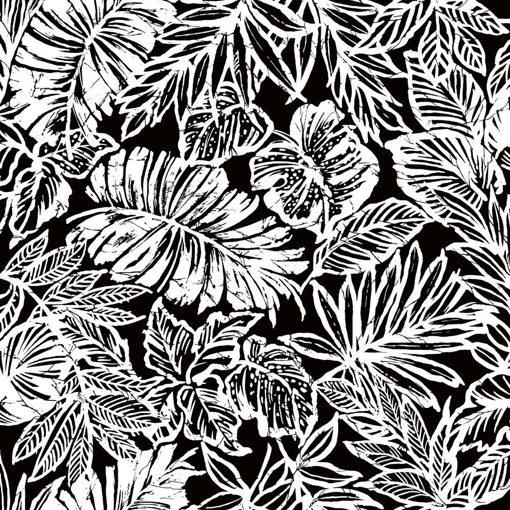 Black and White Tropical Flower Wallpapers Top Free Black and White