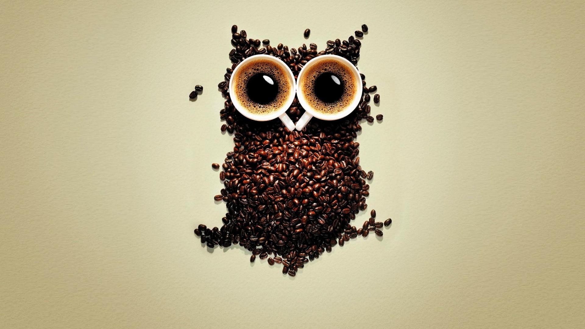 Funny Coffee Wallpapers Top Free Funny Coffee Backgrounds WallpaperAccess