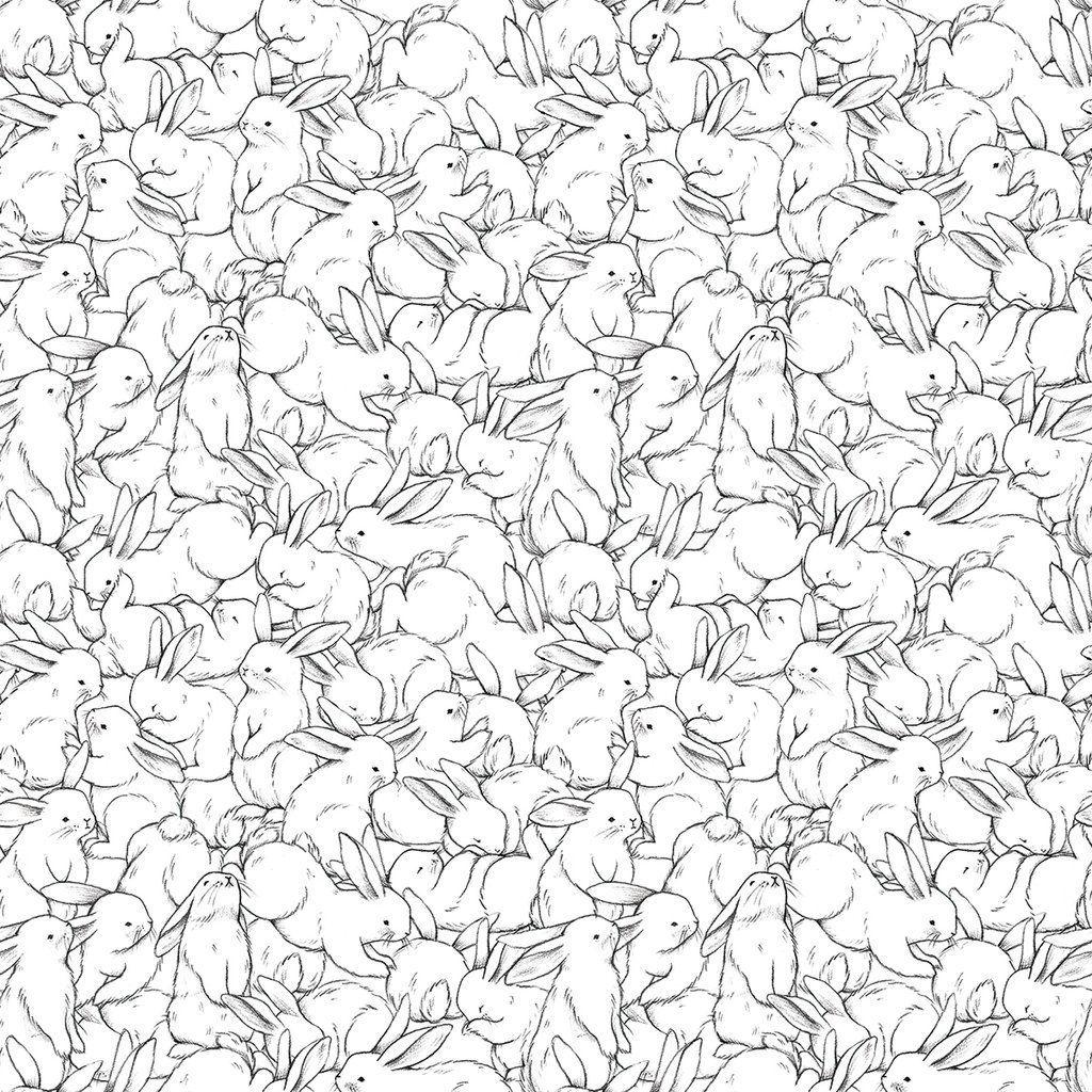 Black and White Rabbit Wallpapers Top Free Black and White Rabbit Backgrounds WallpaperAccess