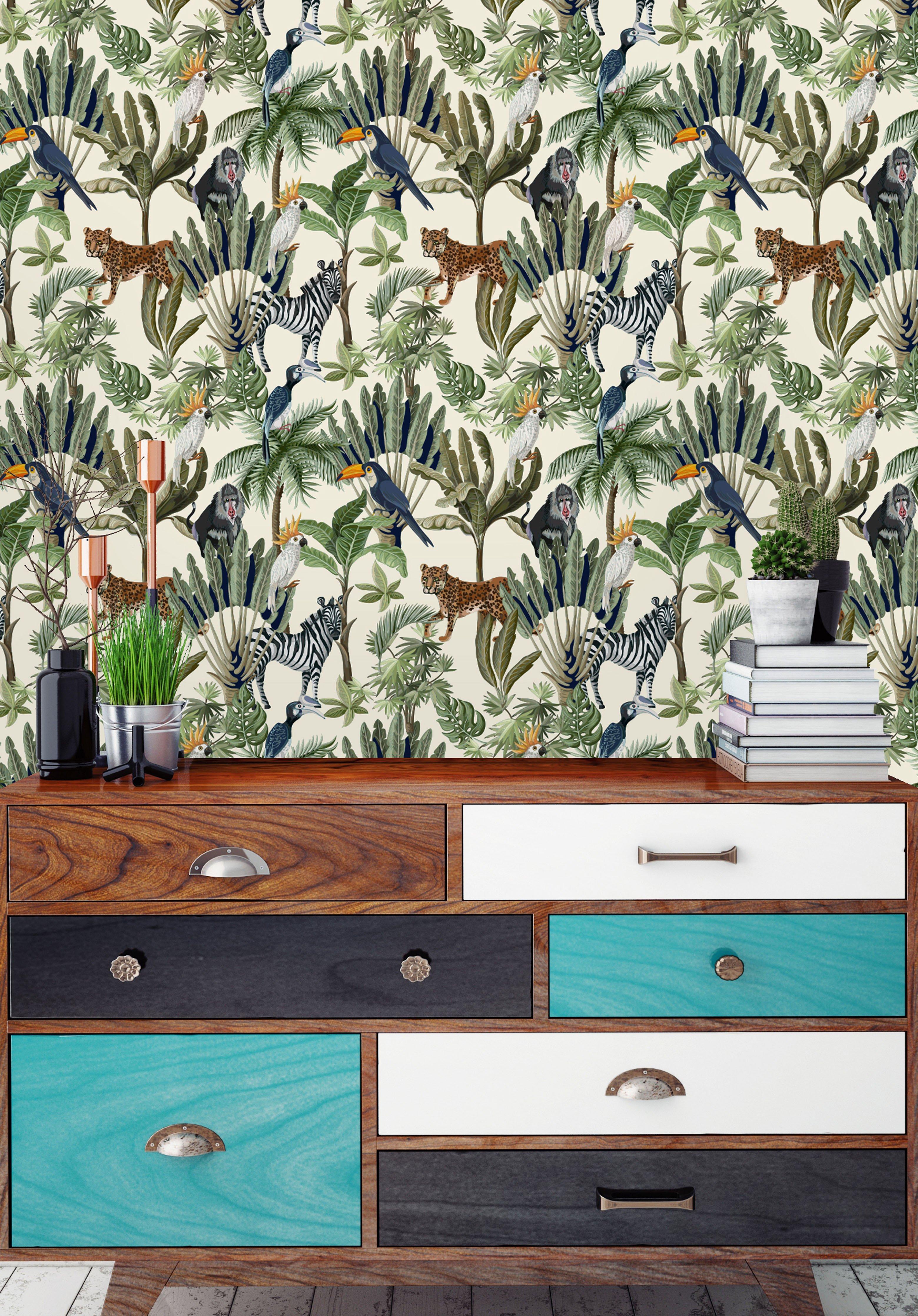 Safari Animals Wallpapers Top Free Safari Animals Backgrounds