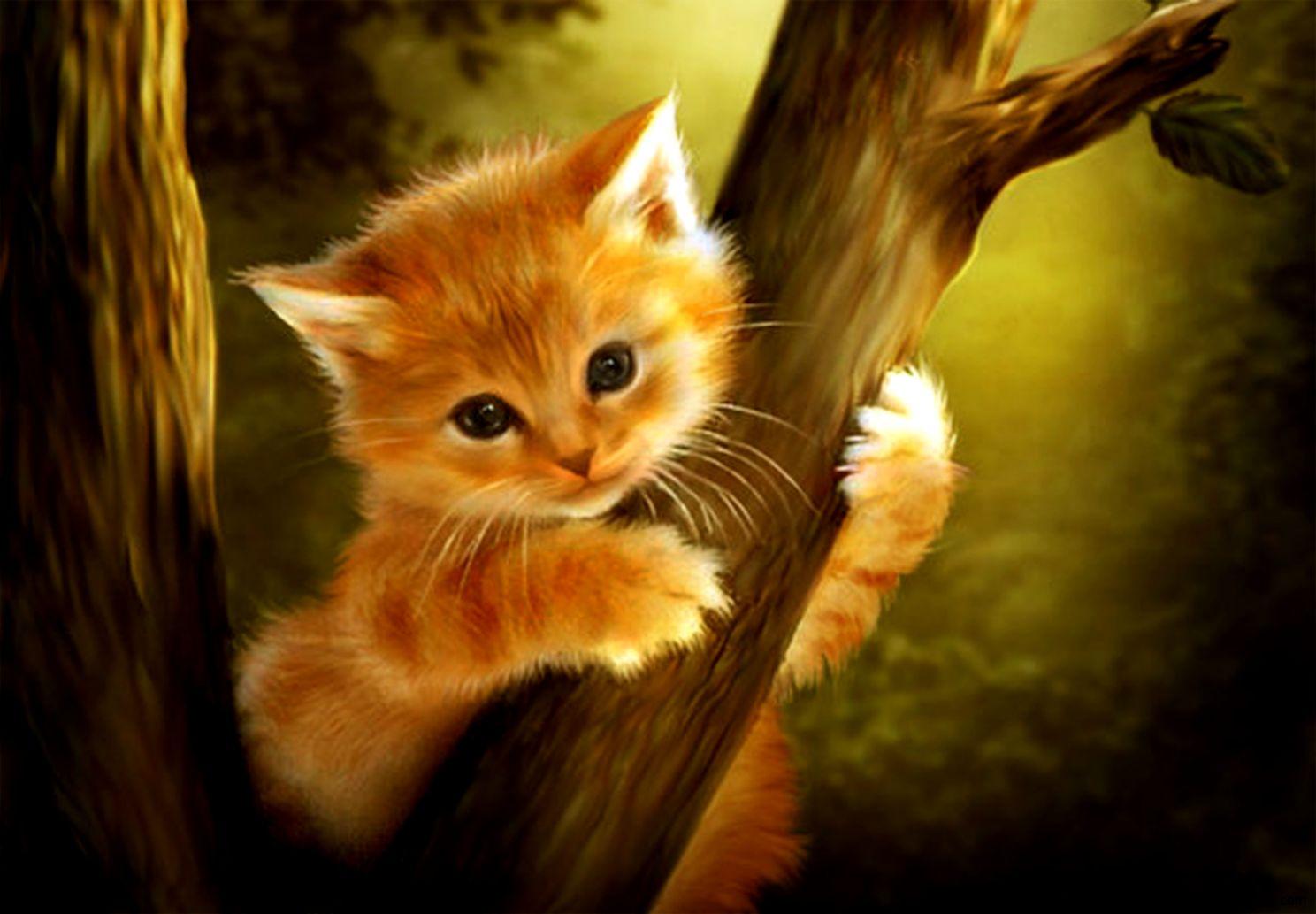 Cute Animal Art Wallpapers Top Free Cute Animal Art Backgrounds