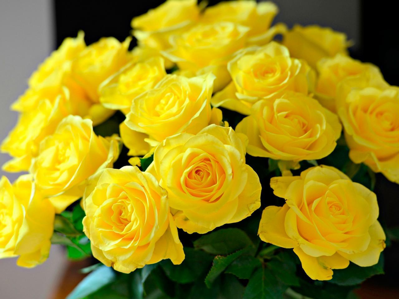 Aesthetic Yellow Rose Wallpapers Top Free Aesthetic Yellow Rose