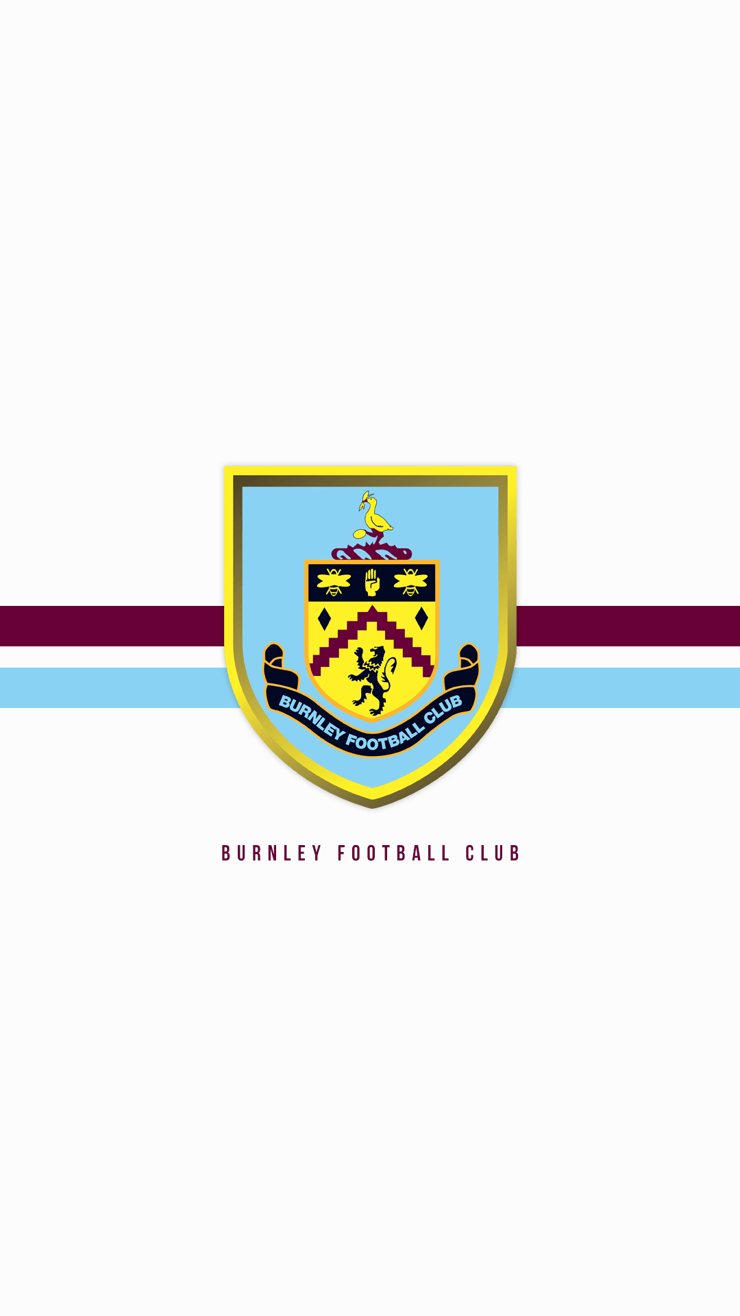 Burnley FC Wallpapers Top Free Burnley FC Backgrounds WallpaperAccess
