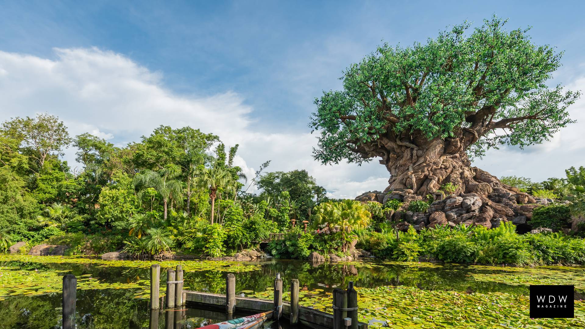 Disney Animal Kingdom Wallpapers Top Free Disney Animal Kingdom