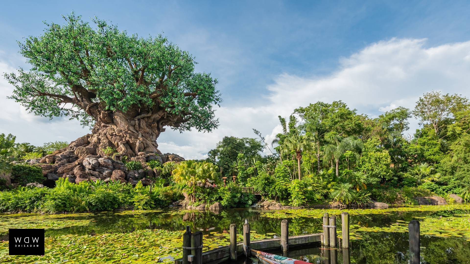 Disney Animal Kingdom Wallpapers Top Free Disney Animal Kingdom