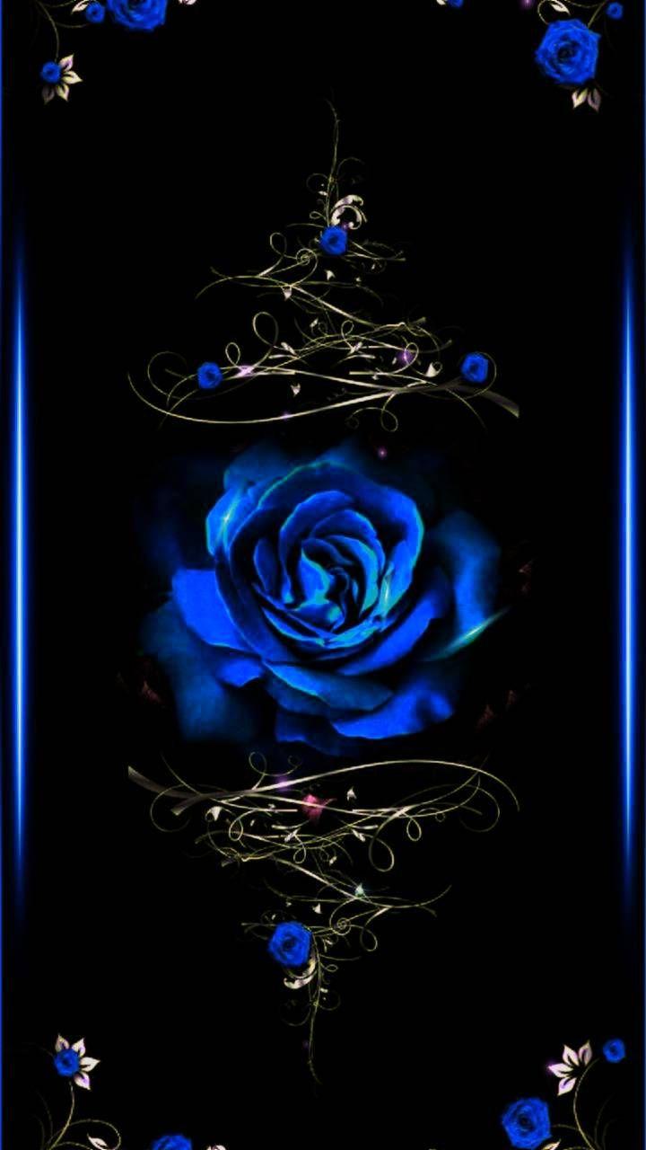 Blue Rose Phone Wallpapers Top Free Blue Rose Phone Backgrounds