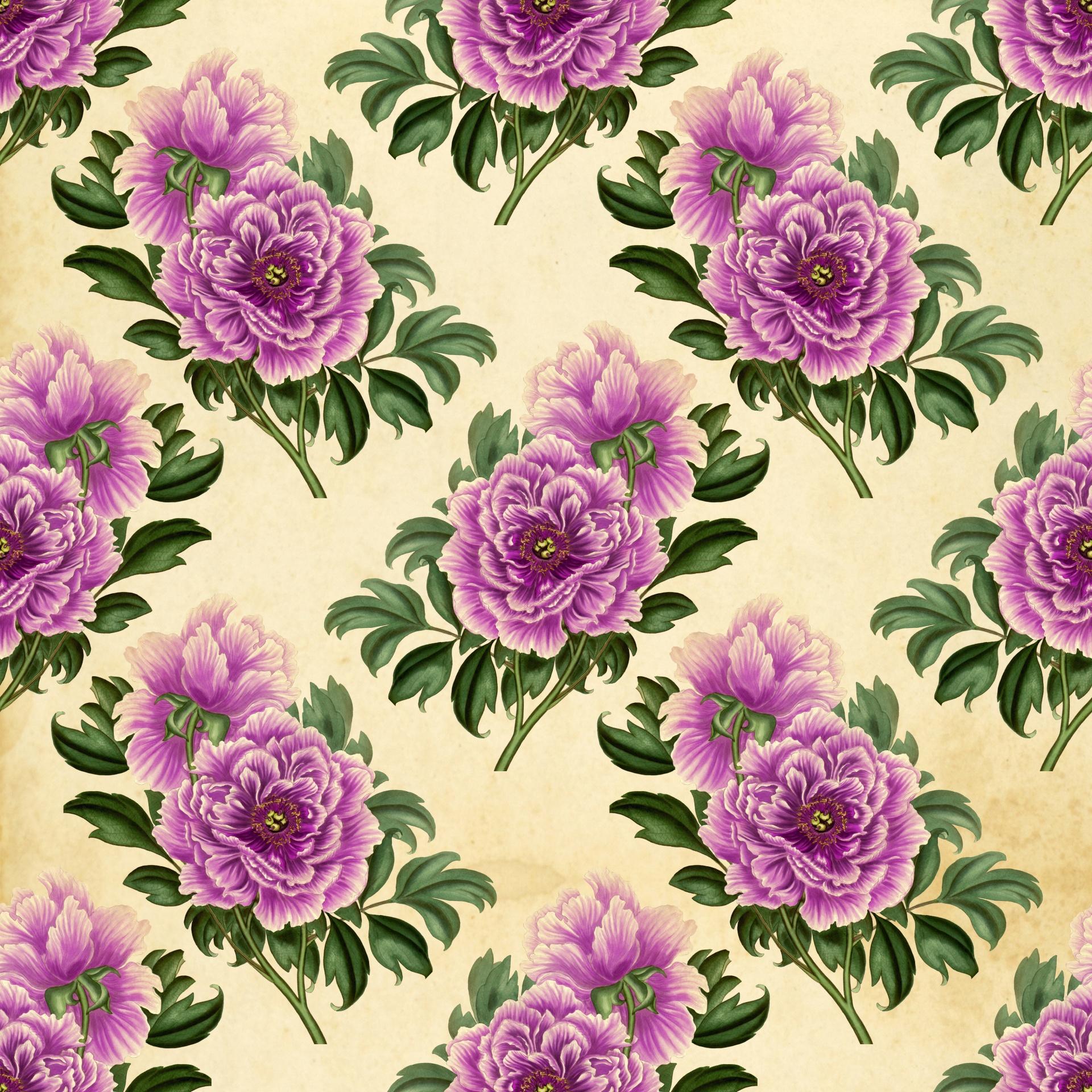 Purple Vintage Flower Wallpapers Top Free Purple Vintage Flower