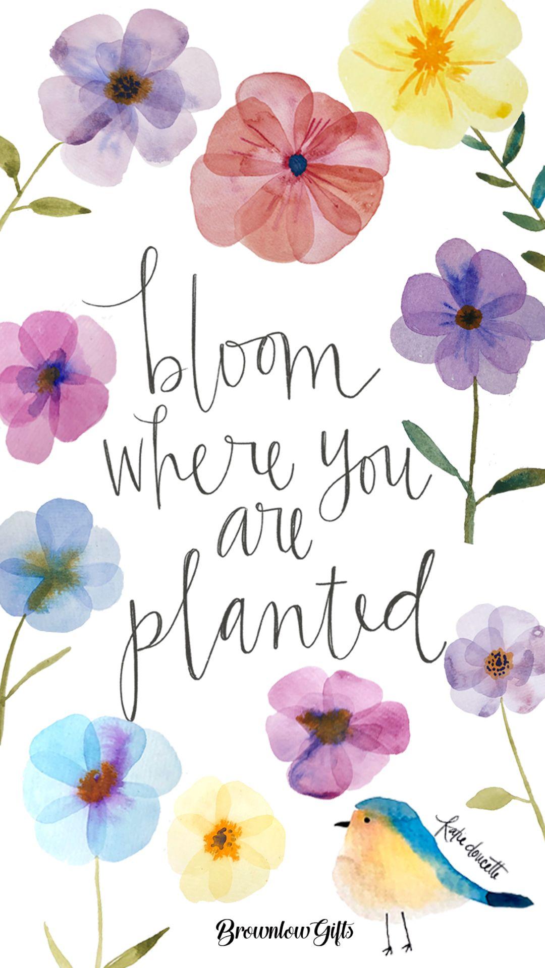 Bloom Where You Are Planted Wallpapers Top Free Bloom Where You Are