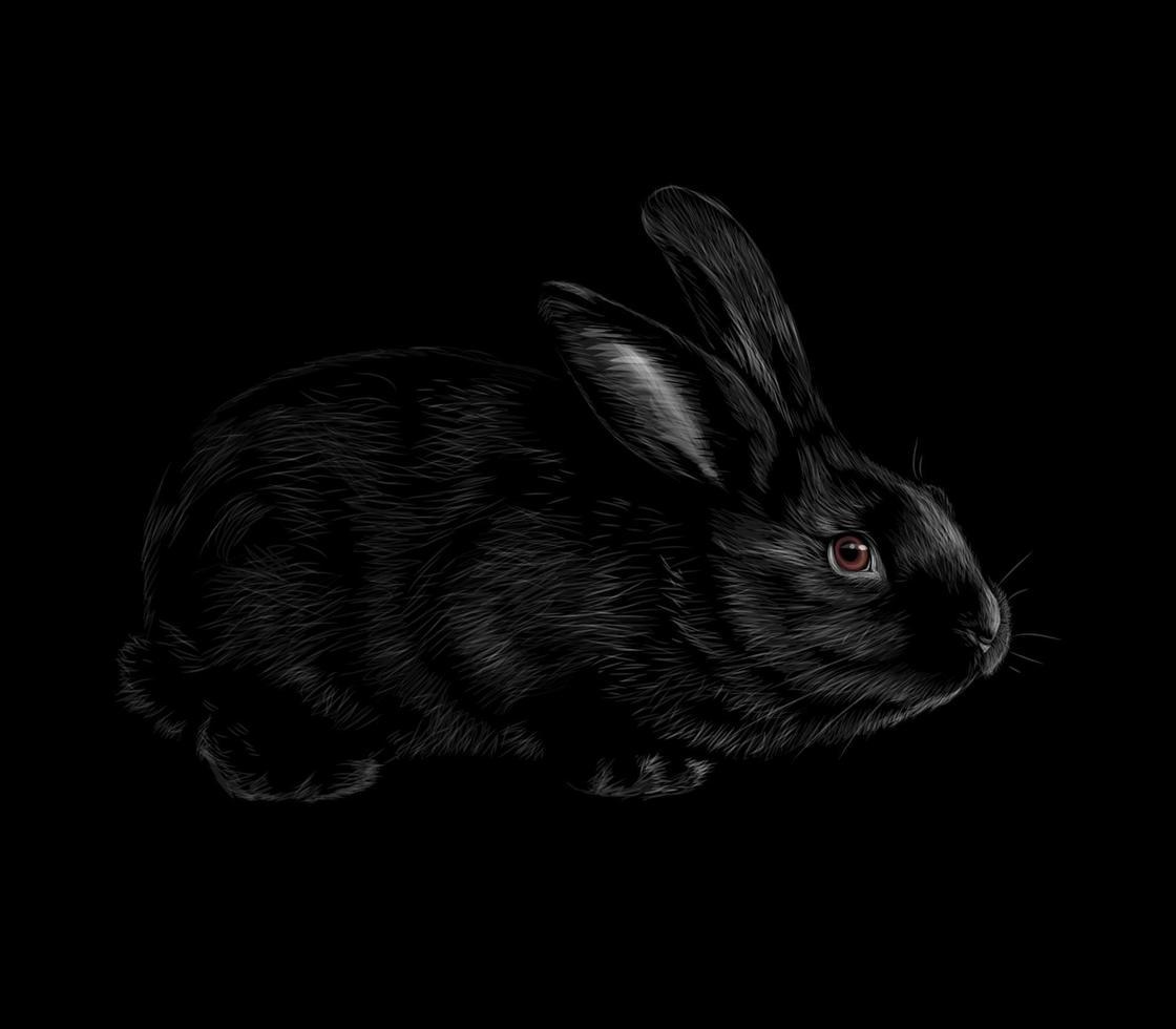 Black Rabbit Wallpapers Top Free Black Rabbit Backgrounds