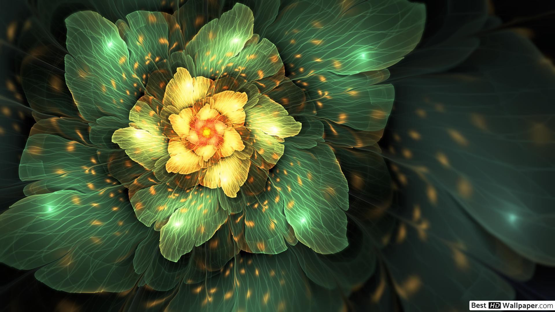 1920X1080 Yellow Flowers Wallpapers Top Free 1920X1080 Yellow Flowers