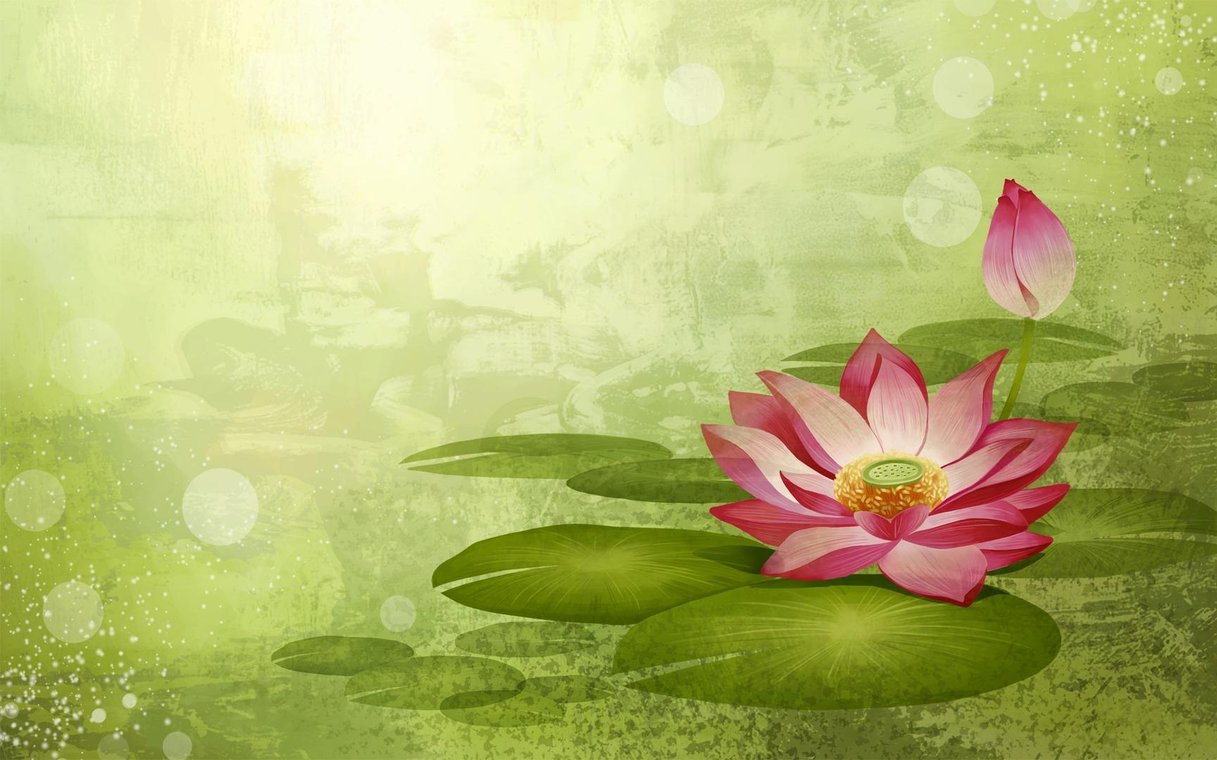 Green Lotus Wallpapers Top Free Green Lotus Backgrounds WallpaperAccess
