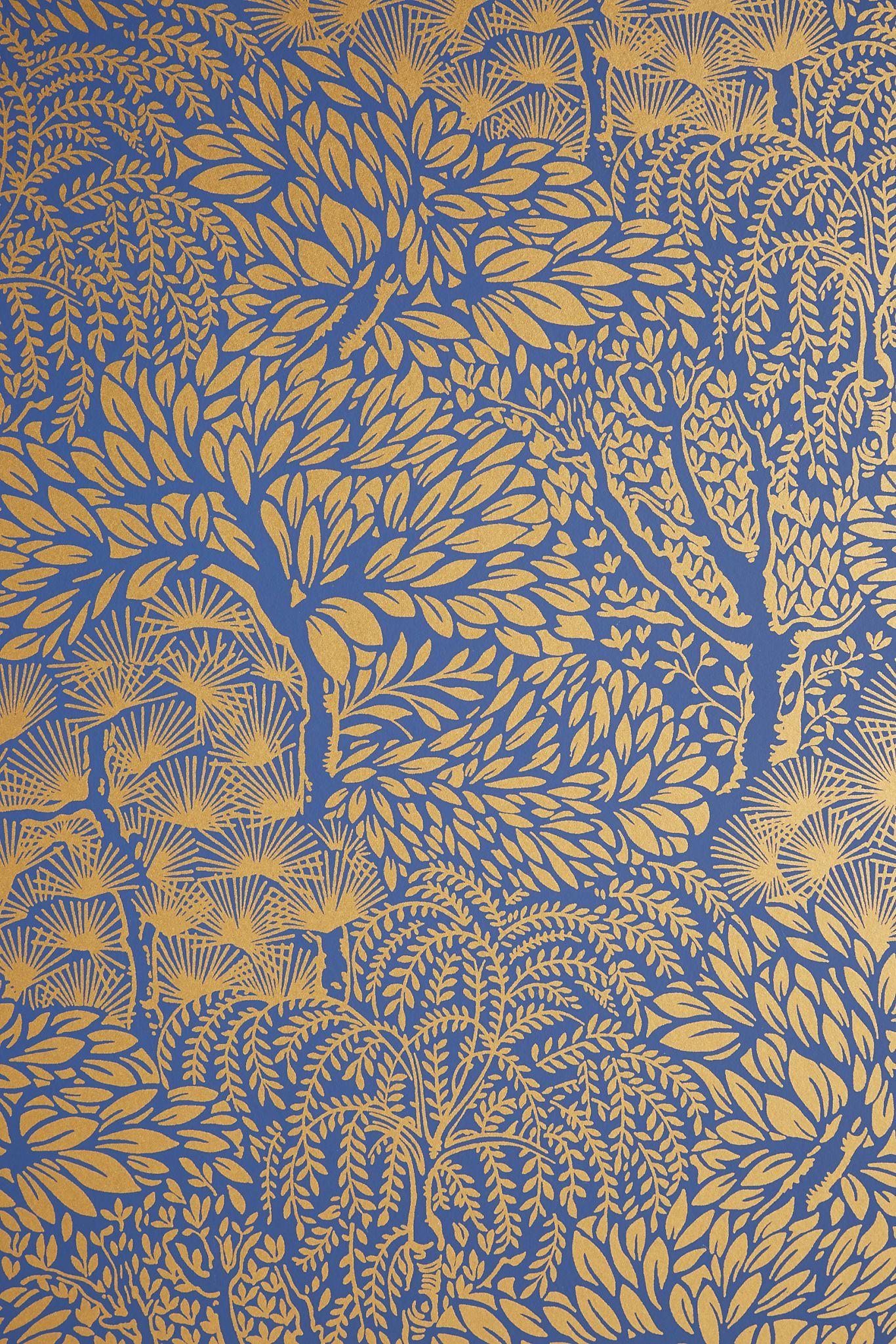 Anthropology Wallpapers Top Free Anthropology Backgrounds WallpaperAccess