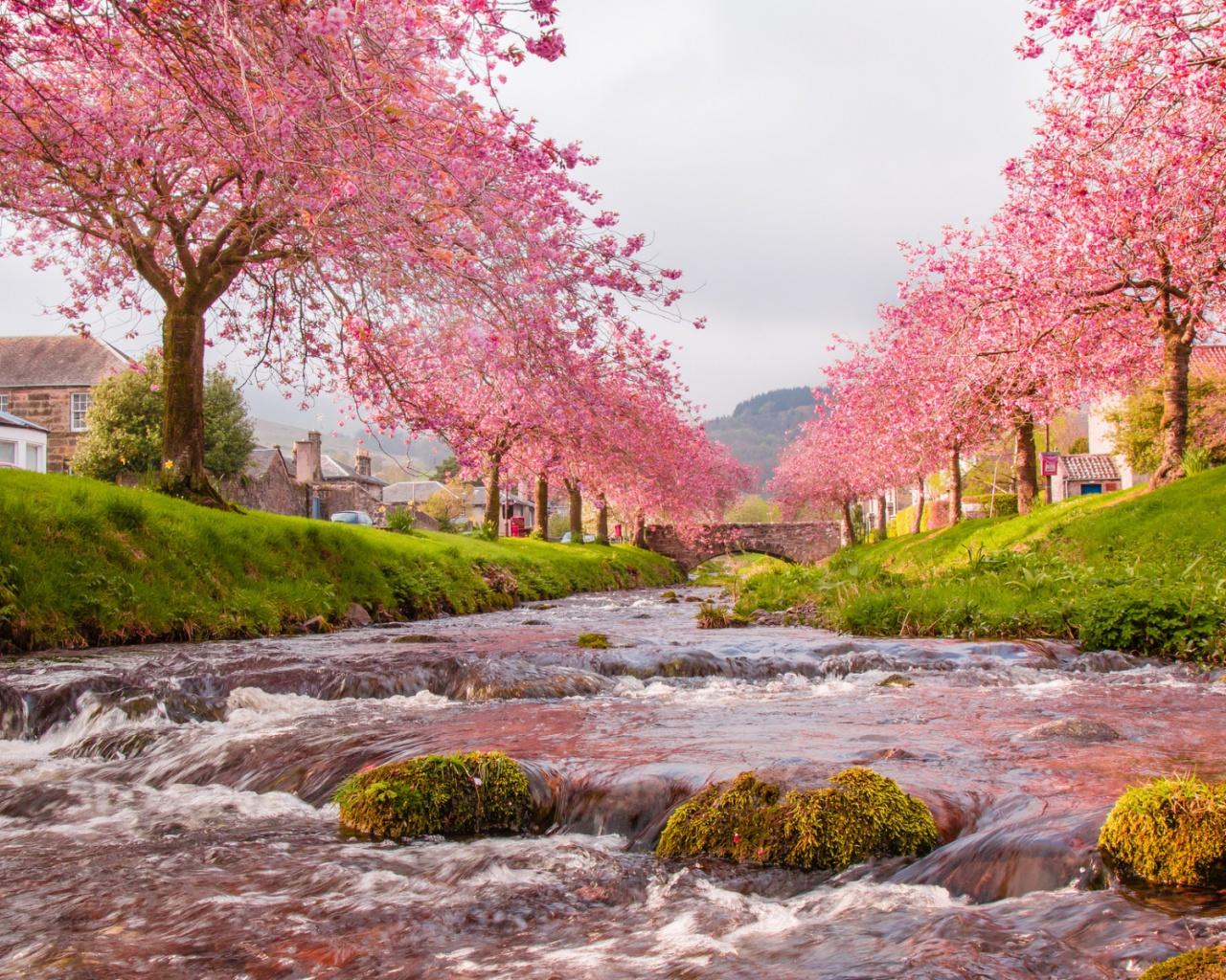 Pink House Wallpapers Top Free Pink House Backgrounds WallpaperAccess