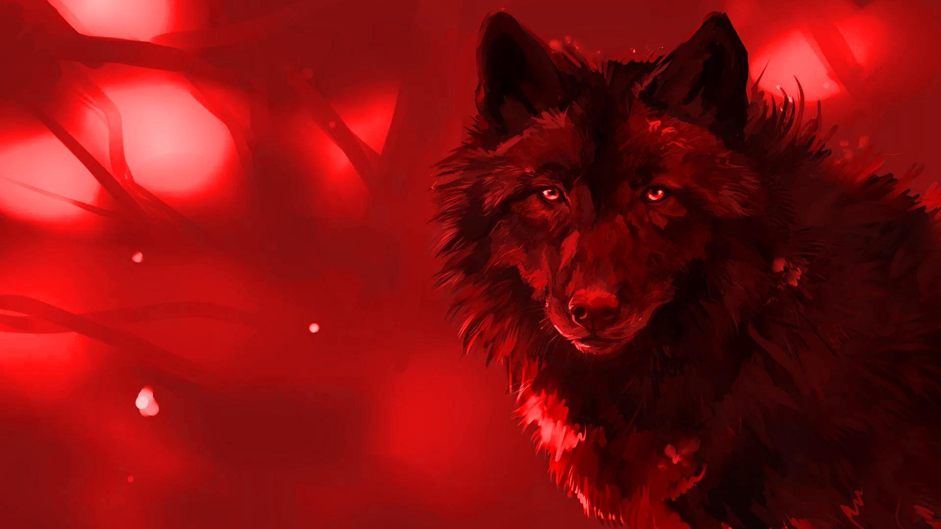 Cool Red Wolf Wallpapers Top Free Cool Red Wolf Backgrounds