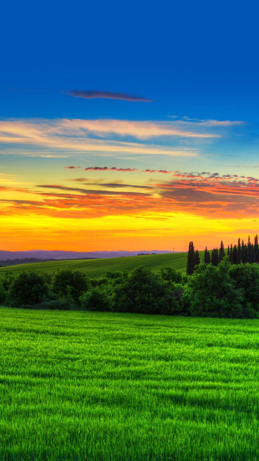 vivo Y20 Wallpapers Top Free vivo Y20 Backgrounds WallpaperAccess