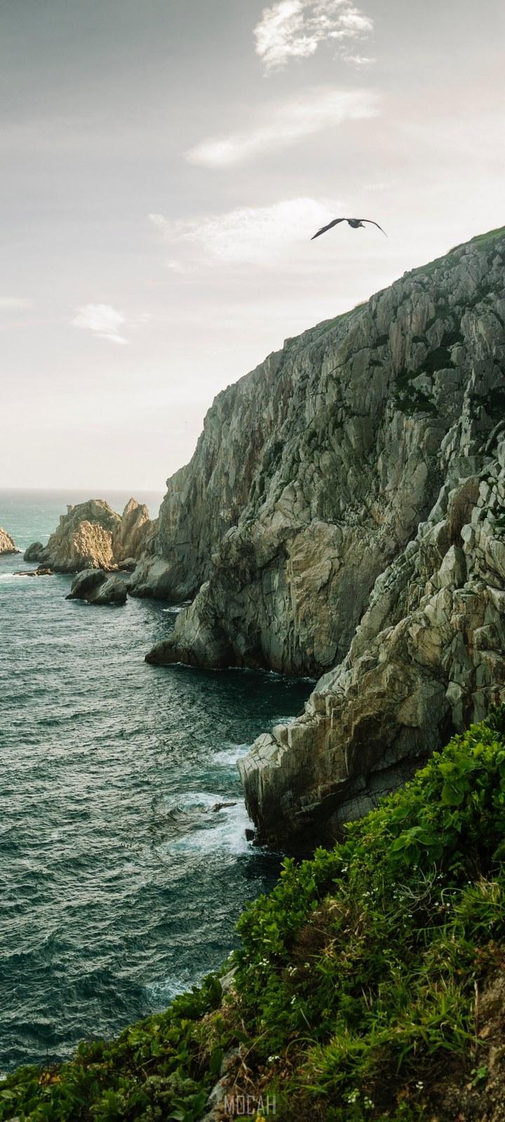 vivo Y20 Wallpapers Top Free vivo Y20 Backgrounds WallpaperAccess