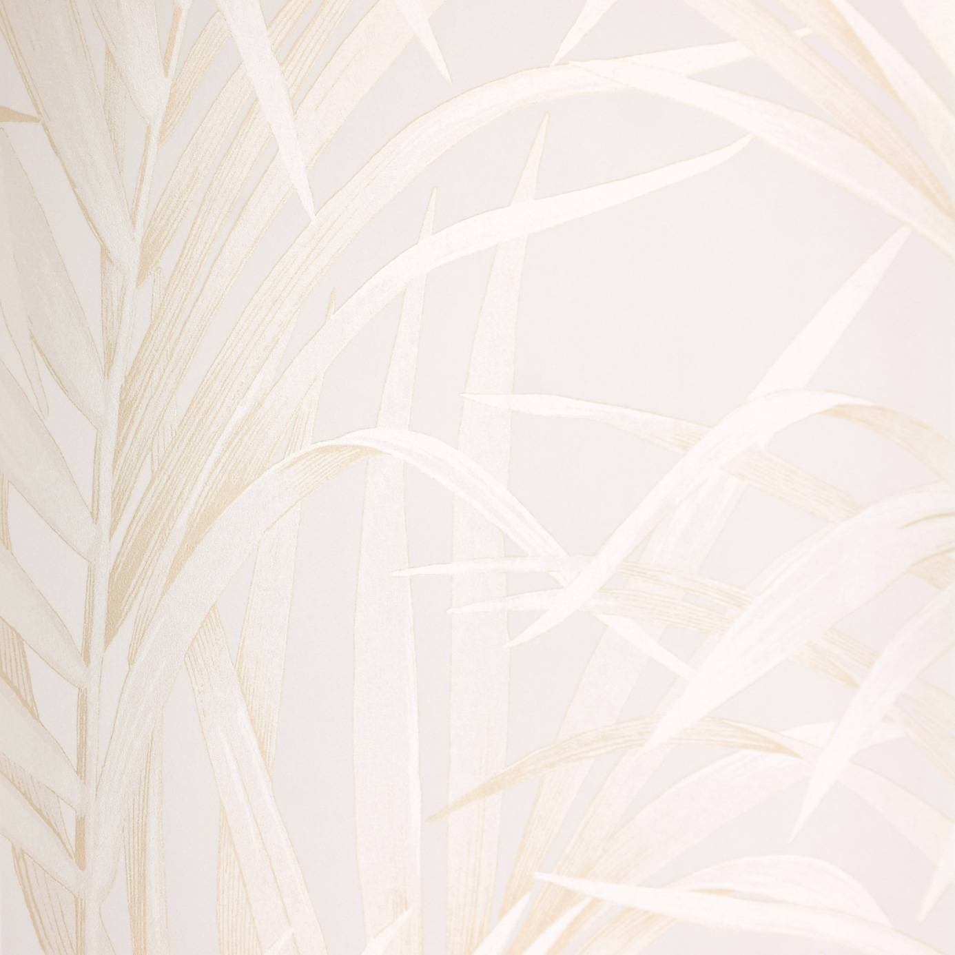 Beige and White Wallpapers Top Free Beige and White Backgrounds