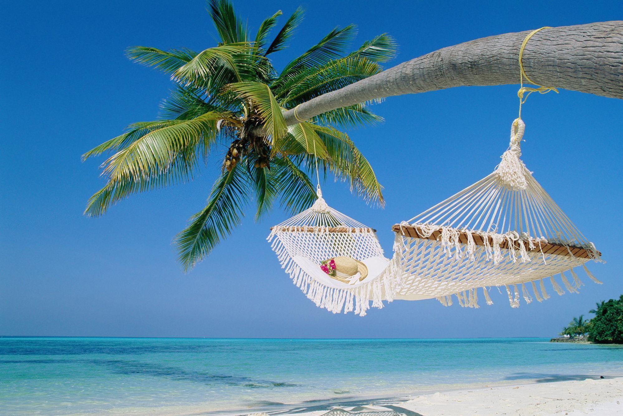 Beach Hammock Wallpapers Top Free Beach Hammock Backgrounds
