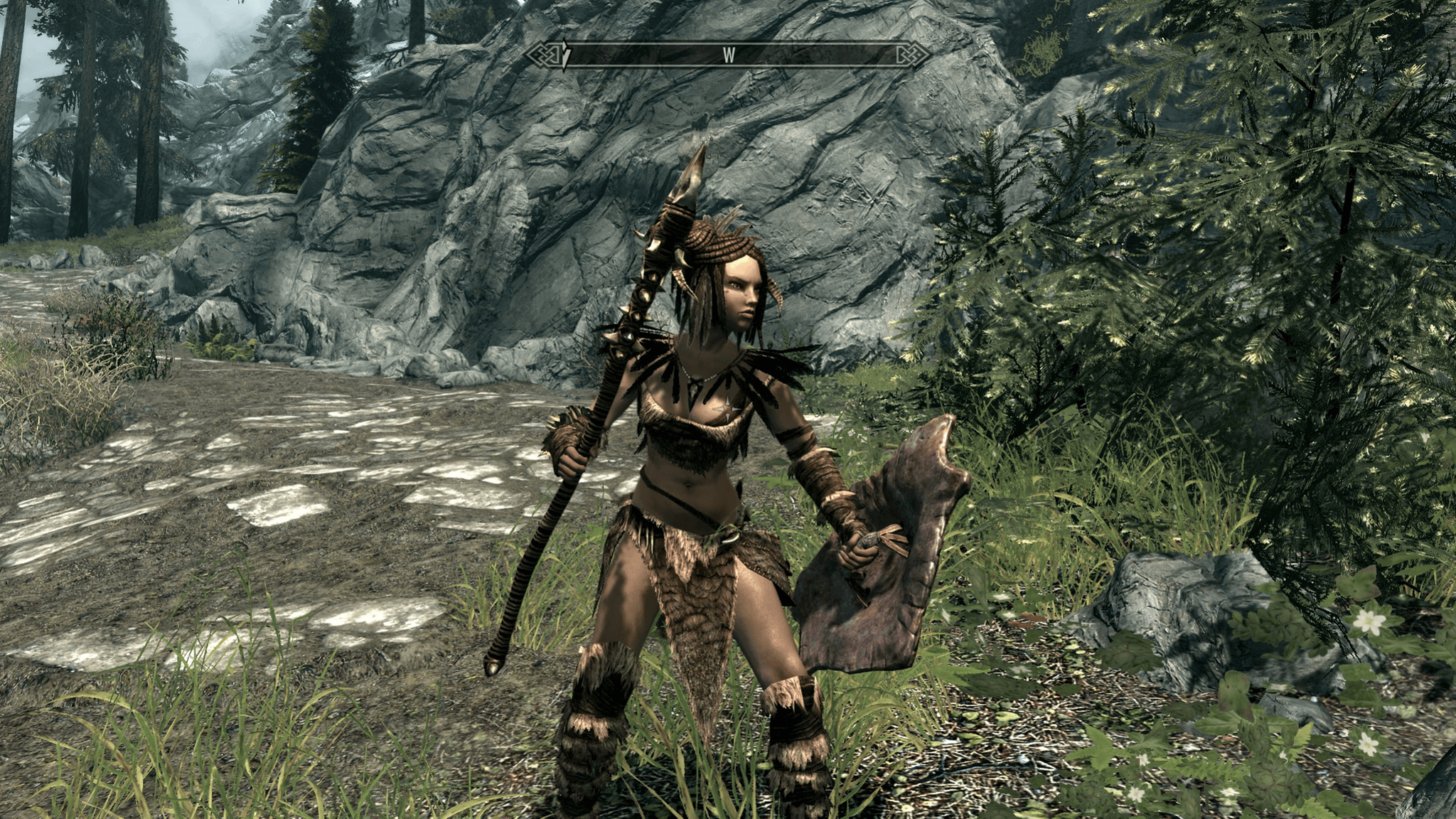 Skyrim Wood Elf Wallpapers Top Free Skyrim Wood Elf Backgrounds