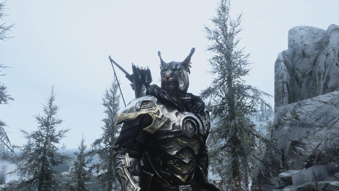 Skyrim Wood Elf Wallpapers Top Free Skyrim Wood Elf Backgrounds