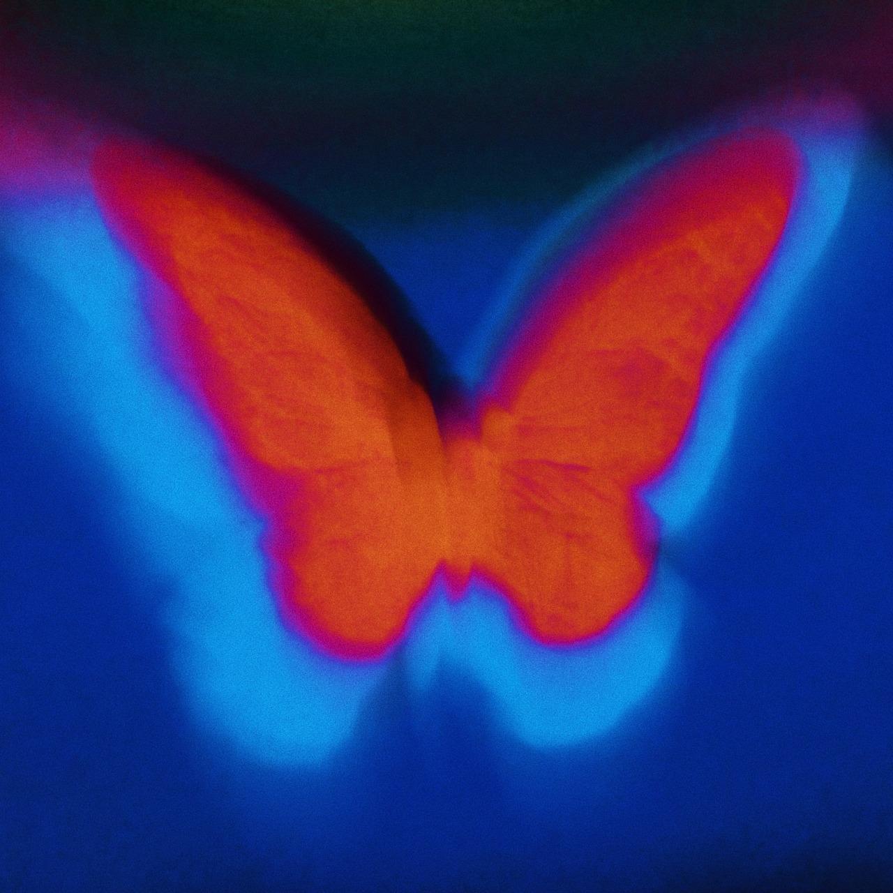 Travis Scott Butterfly Effect Wallpapers Top Free Travis Scott