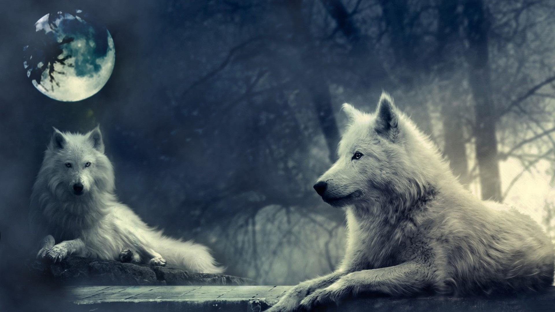 Blue Moon and Wolf Wallpapers Top Free Blue Moon and Wolf Backgrounds