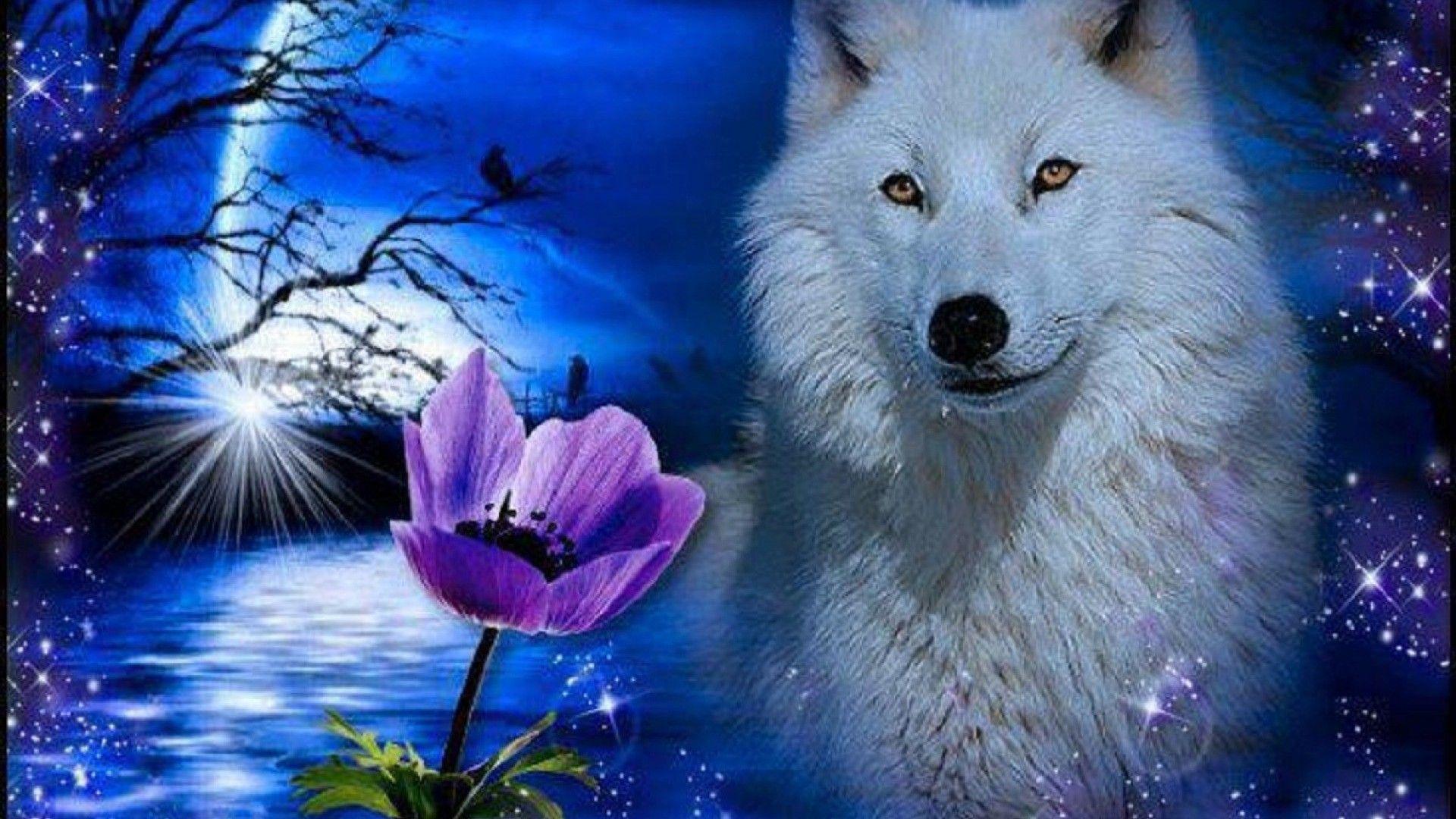 Blue Moon and Wolf Wallpapers Top Free Blue Moon and Wolf Backgrounds