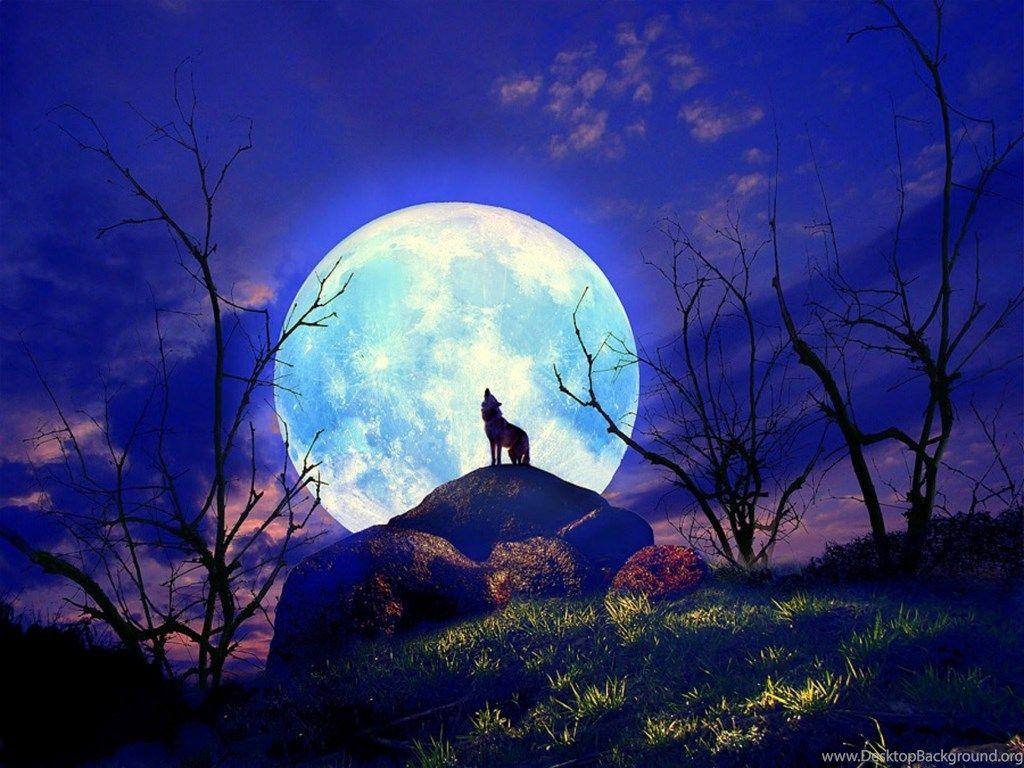 Blue Moon and Wolf Wallpapers Top Free Blue Moon and Wolf Backgrounds