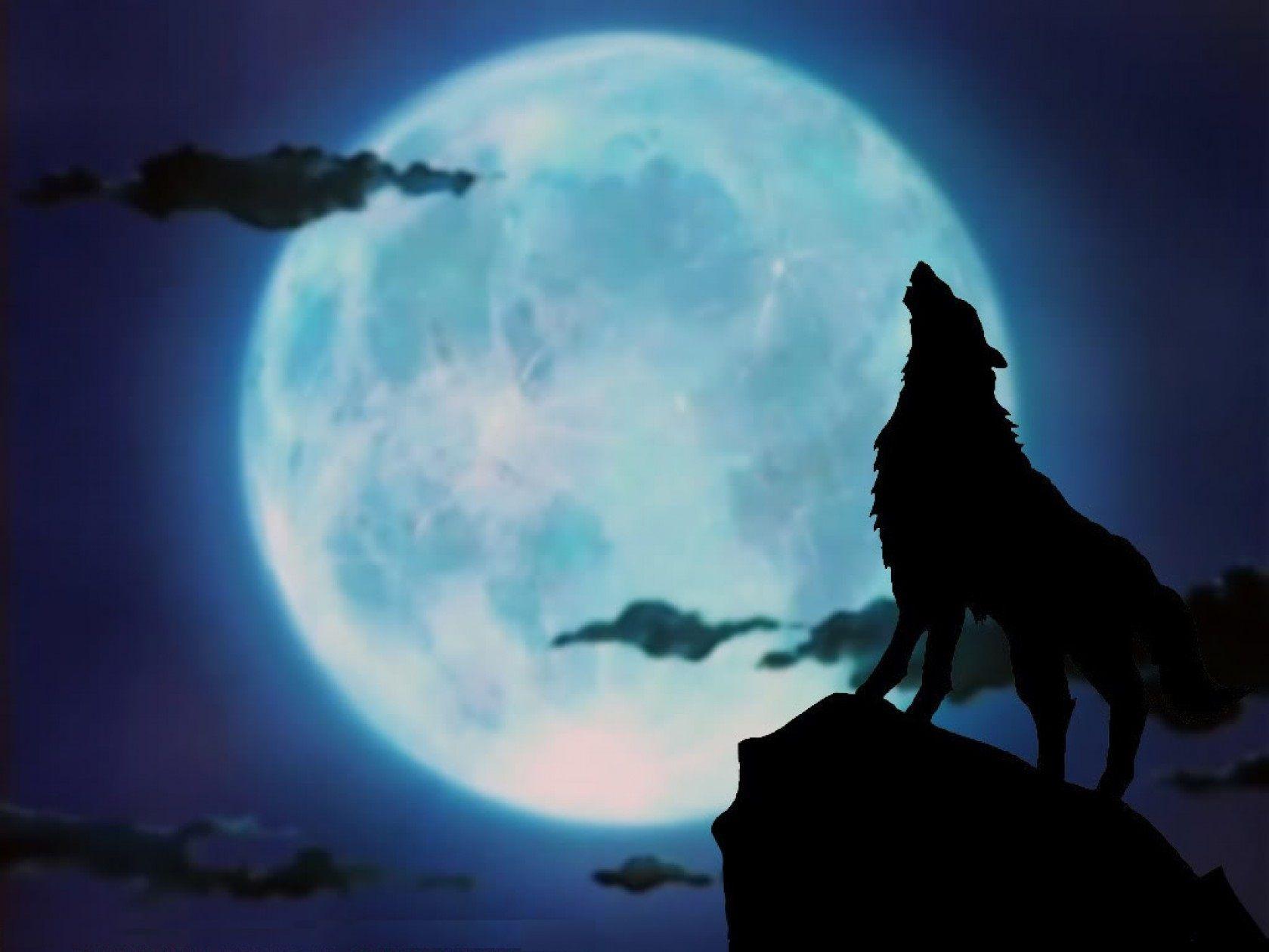 Blue Moon and Wolf Wallpapers Top Free Blue Moon and Wolf Backgrounds