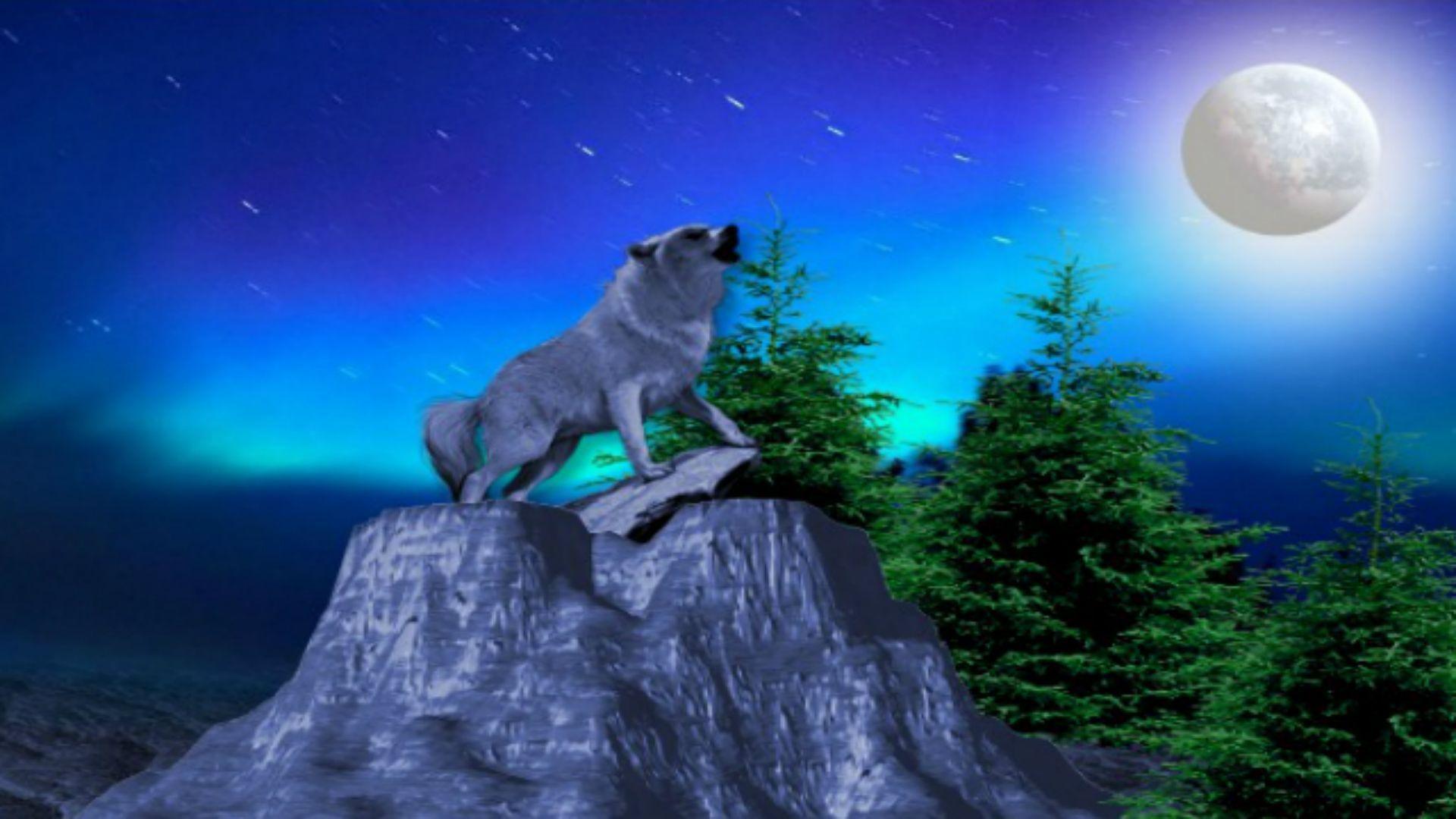 Blue Moon and Wolf Wallpapers Top Free Blue Moon and Wolf Backgrounds