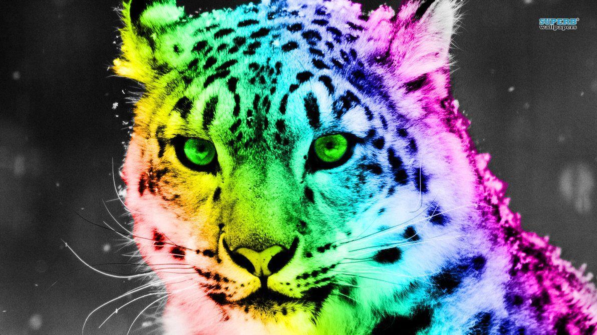 Cute Rainbow Animal Wallpapers Top Free Cute Rainbow Animal