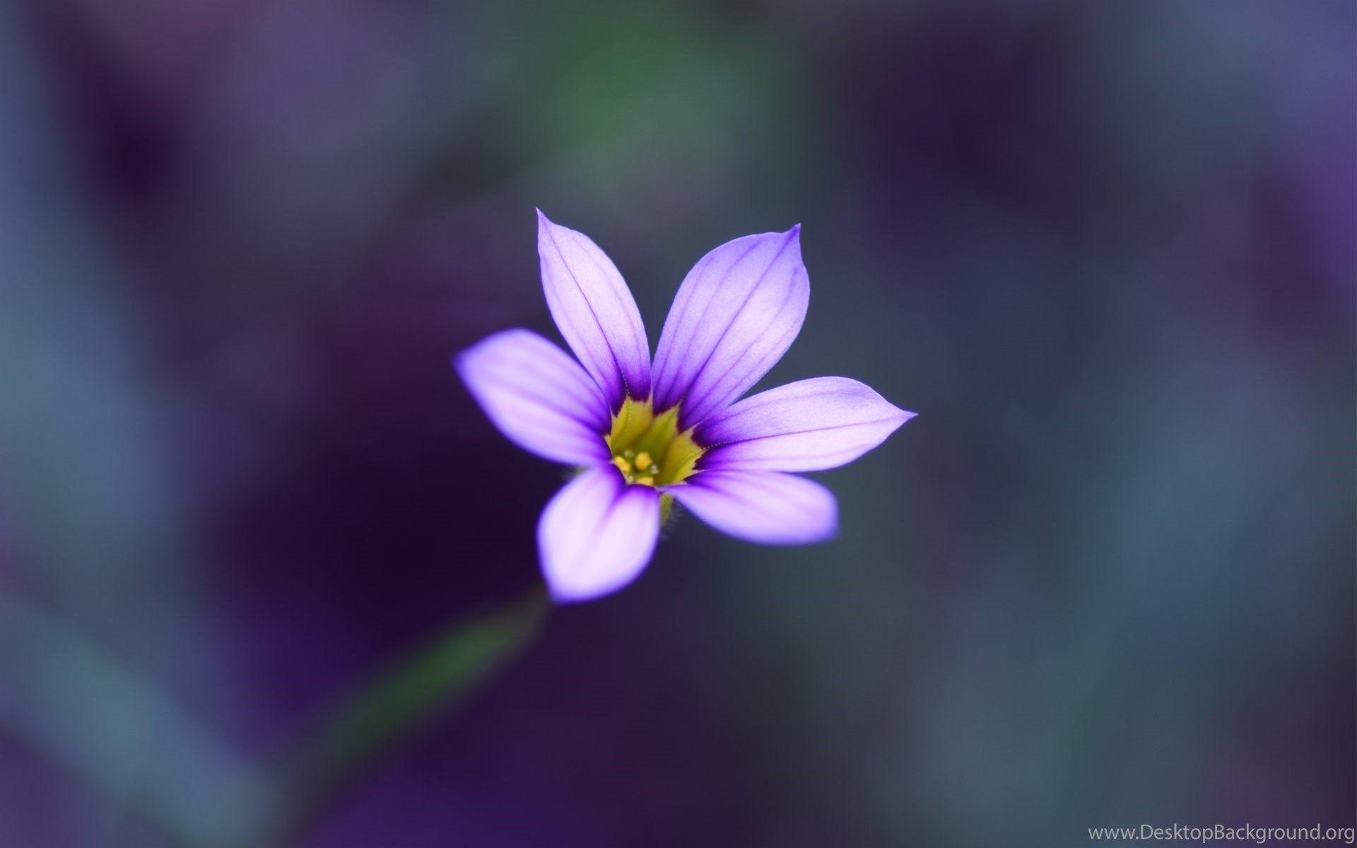 Single HD Wallpapers Top Free Single HD Backgrounds WallpaperAccess